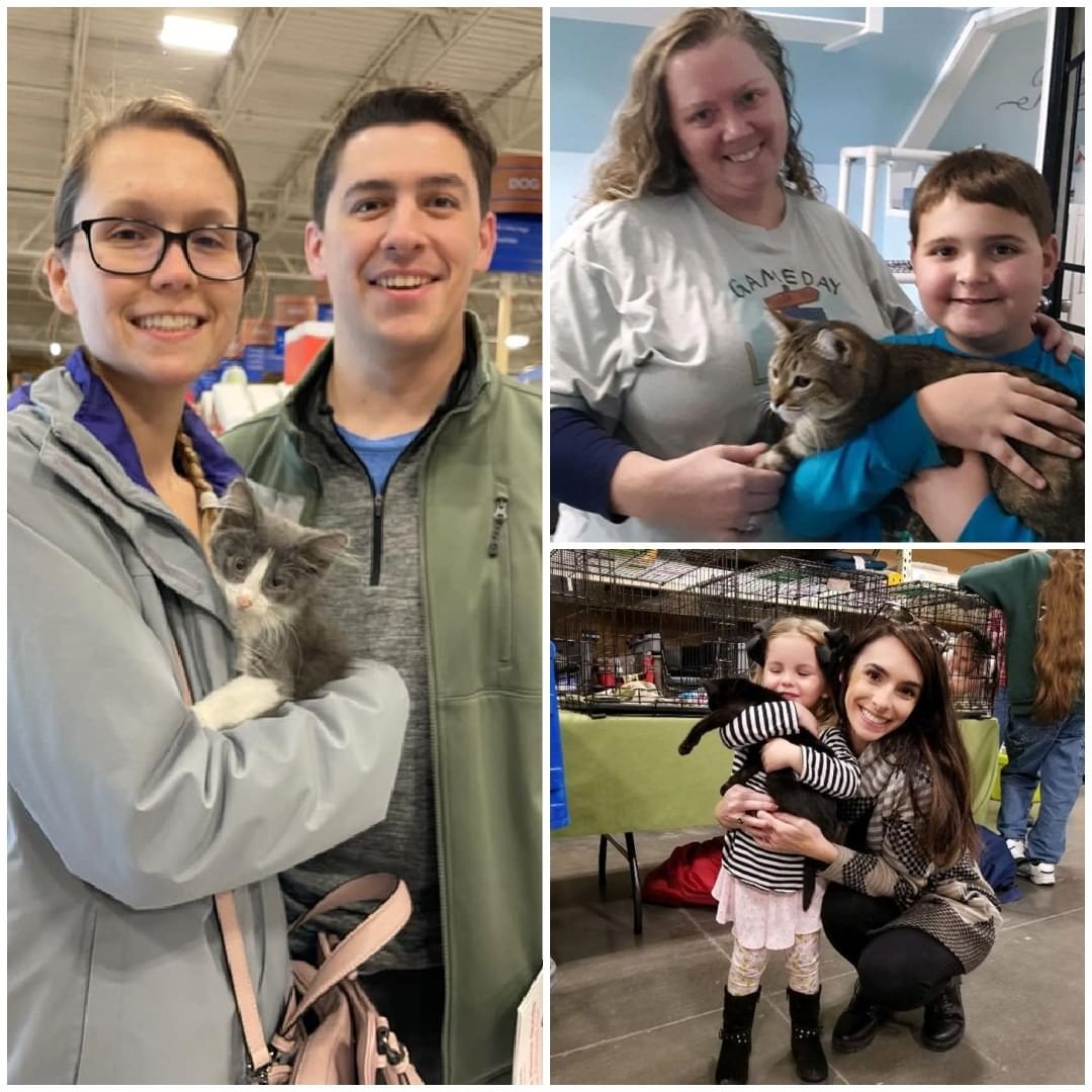 <a target='_blank' href='https://www.instagram.com/explore/tags/HappyTails/'>#HappyTails</a> to over 45 of our cats and dogs who found fantastic homes this week! We are so thankful for all who chose to adopt a furry family member! 
🐶💚🐱
If you’d like to find a best friend too, head on over to our website to see who is looking for a furever family! If you see a pet you’re interested in, please fill out an adoption survey to get connected with our adoption team who can set up a meet and greet! 
www.anewleash.org

<a target='_blank' href='https://www.instagram.com/explore/tags/anewleashonlife/'>#anewleashonlife</a> <a target='_blank' href='https://www.instagram.com/explore/tags/anewleash/'>#anewleash</a> <a target='_blank' href='https://www.instagram.com/explore/tags/anlol/'>#anlol</a> <a target='_blank' href='https://www.instagram.com/explore/tags/adoptionevent/'>#adoptionevent</a> <a target='_blank' href='https://www.instagram.com/explore/tags/adoptables/'>#adoptables</a> <a target='_blank' href='https://www.instagram.com/explore/tags/adoptdontshop/'>#adoptdontshop</a>  <a target='_blank' href='https://www.instagram.com/explore/tags/rescuedismyfavoritebreed/'>#rescuedismyfavoritebreed</a> <a target='_blank' href='https://www.instagram.com/explore/tags/adoptadog/'>#adoptadog</a> <a target='_blank' href='https://www.instagram.com/explore/tags/adoptacat/'>#adoptacat</a> <a target='_blank' href='https://www.instagram.com/explore/tags/rescuedog/'>#rescuedog</a> <a target='_blank' href='https://www.instagram.com/explore/tags/rescuecat/'>#rescuecat</a> <a target='_blank' href='https://www.instagram.com/explore/tags/spayandneuter/'>#spayandneuter</a> <a target='_blank' href='https://www.instagram.com/explore/tags/savethemall/'>#savethemall</a> <a target='_blank' href='https://www.instagram.com/explore/tags/choosetoadopt/'>#choosetoadopt</a> <a target='_blank' href='https://www.instagram.com/explore/tags/alabamaanimalrescue/'>#alabamaanimalrescue</a> <a target='_blank' href='https://www.instagram.com/explore/tags/adoptme/'>#adoptme</a> <a target='_blank' href='https://www.instagram.com/explore/tags/volunteer/'>#volunteer</a> <a target='_blank' href='https://www.instagram.com/explore/tags/foster/'>#foster</a> <a target='_blank' href='https://www.instagram.com/explore/tags/fosteringsaveslives/'>#fosteringsaveslives</a> <a target='_blank' href='https://www.instagram.com/explore/tags/adoptpurelove/'>#adoptpurelove</a> <a target='_blank' href='https://www.instagram.com/explore/tags/huntsvilleal/'>#huntsvilleal</a> <a target='_blank' href='https://www.instagram.com/explore/tags/rescuepet/'>#rescuepet</a> <a target='_blank' href='https://www.instagram.com/explore/tags/rescuepetsofinstagram/'>#rescuepetsofinstagram</a>  <a target='_blank' href='https://www.instagram.com/explore/tags/rescue/'>#rescue</a> <a target='_blank' href='https://www.instagram.com/explore/tags/madisonal/'>#madisonal</a> <a target='_blank' href='https://www.instagram.com/explore/tags/northalabama/'>#northalabama</a>