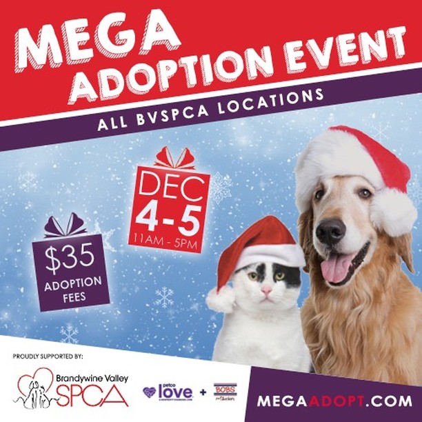 🎉Mega is back🐾!!! Next weekend hundreds of puppies, kittens, cats & dogs will be adoptable for just $35 each. The event is at all BVSPCA locations. Hours are 11am-5pm Saturday-Sunday, with a Saturday fast pass available for early entry. Plan a visit or spread the word to help us reach our goal of 500 adoptions! More info: megaadopt.com