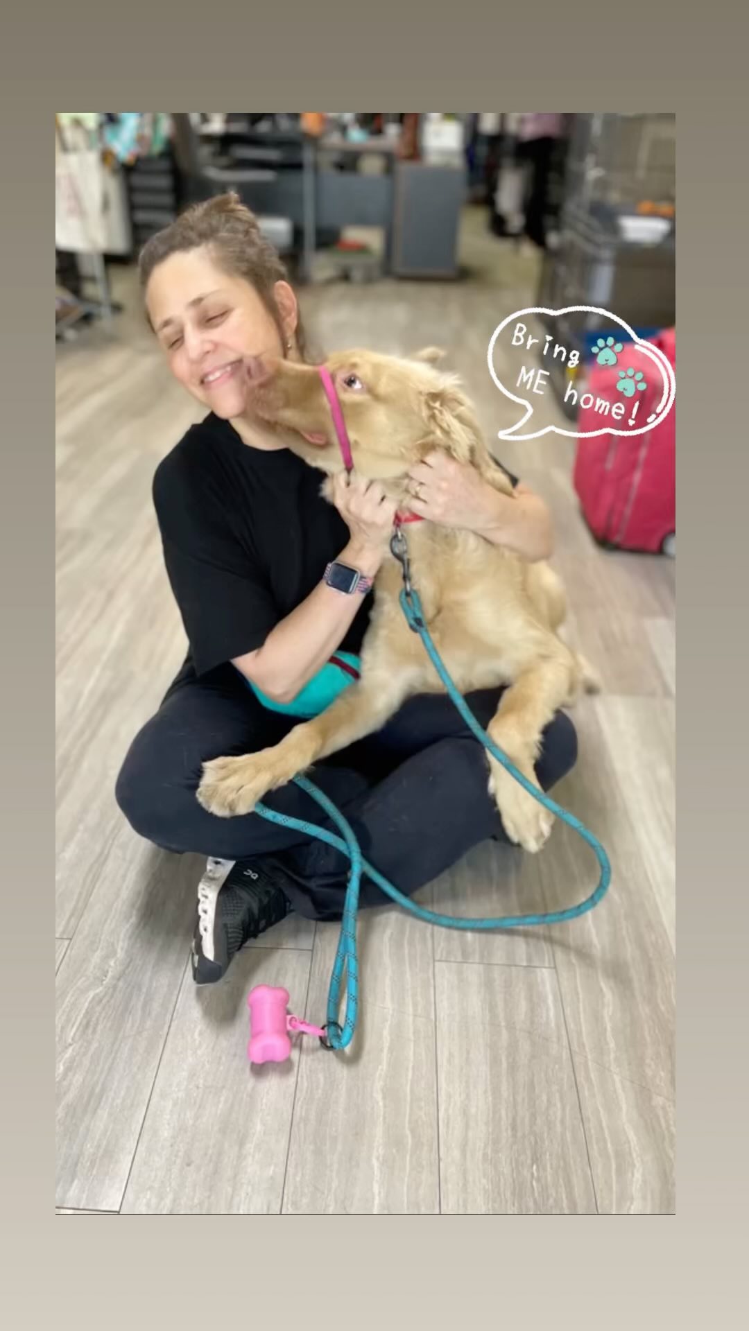 Flake says, let’s just relax with some classical music and forget about the training!😂🐶

He loves his friend Mara from @the_new_dog_training and wanted to say thank you for visiting him and the kittens at UFAR!❤️ Such a goofy boy!!

Flake is only 6 months old, full of puppy energy and would benefit so much from a fenced in yard, so he can run and run and run!🐶🐾

Adoption application can be found at www.ufarescue.org 🐾

Visit Flake from Tuesday to Sunday 1pm to 6pm. 

366 South State rd.7 Margate 33068 🐾

<a target='_blank' href='https://www.instagram.com/explore/tags/doglovers/'>#doglovers</a> <a target='_blank' href='https://www.instagram.com/explore/tags/adoptdontshop/'>#adoptdontshop</a> <a target='_blank' href='https://www.instagram.com/explore/tags/puppylove/'>#puppylove</a> <a target='_blank' href='https://www.instagram.com/explore/tags/ufarescue/'>#ufarescue</a> <a target='_blank' href='https://www.instagram.com/explore/tags/dogsofinstagram/'>#dogsofinstagram</a> <a target='_blank' href='https://www.instagram.com/explore/tags/shelterpets/'>#shelterpets</a> <a target='_blank' href='https://www.instagram.com/explore/tags/shelterdogs/'>#shelterdogs</a>