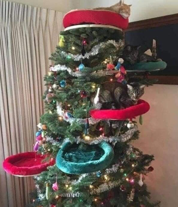 Who is decorating today? What do your cats think? This is an interesting idea!
