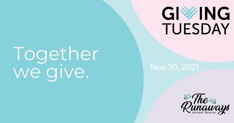 Just a reminder that this Tuesday, November 30th, we will be participating in Giving Tuesday! 

Giving Tuesday is a global generosity movement that gives everyone an opportunity to give back to their communities. Whether it’s donating time, money, items, skills, or your voice, to advocating for causes that matter to you! 

This Giving Tuesday, please consider donating to Our fundraiser so we can continue our mission of saving animals, and advocating for a kinder, more compassionate world for everyone. 

Please follow the link in our bio 
The animals thank you🙏🏽♥️🐾