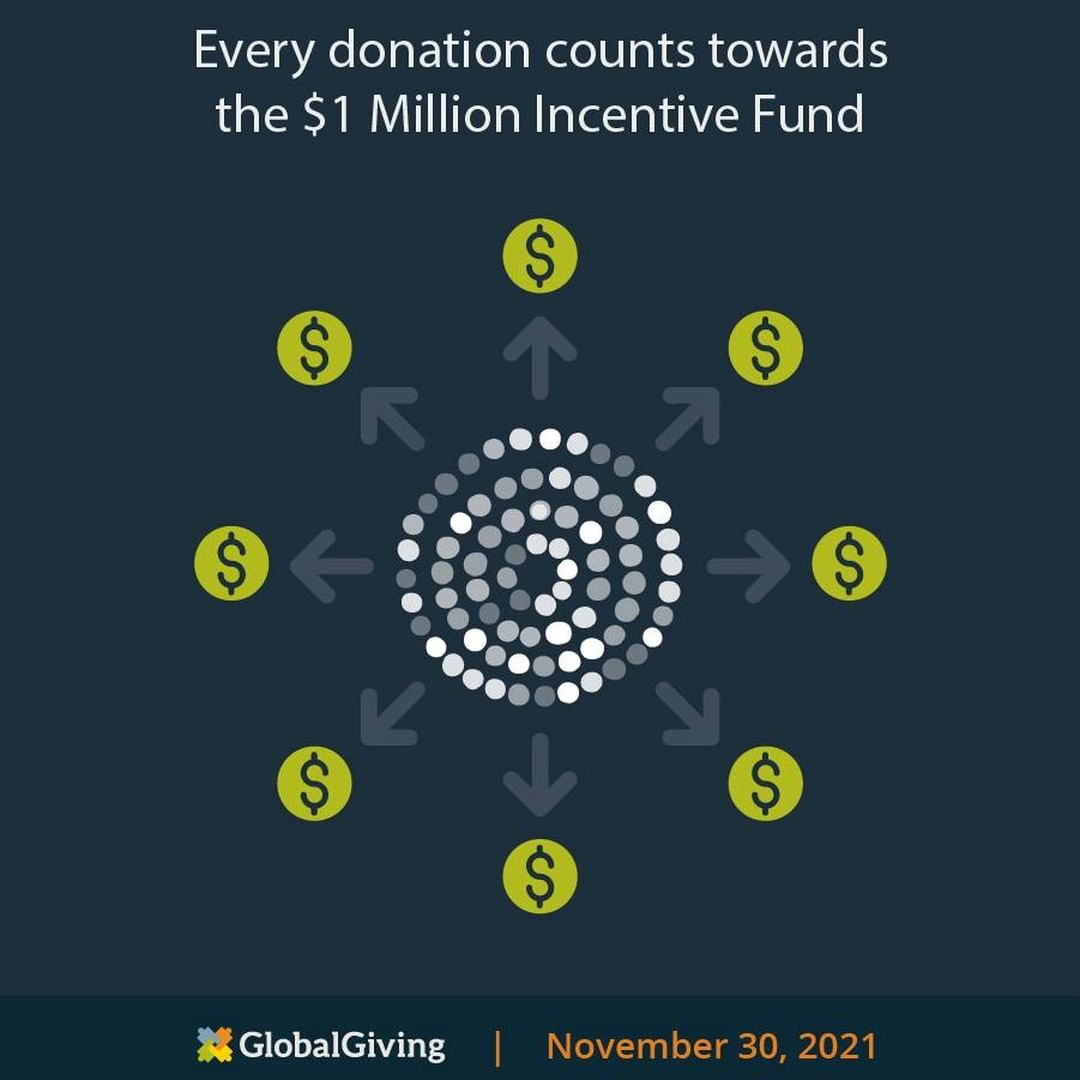 Get ready. Get set: <a target='_blank' href='https://www.instagram.com/explore/tags/GivingTuesday/'>#GivingTuesday</a> is TOMORROW!

With $1 million USD in bonus funds available from GlobalGiving, there’s never been a better time to help Dixie Adoptables— and the more you give, the more bonus funds we’ll unlock! Get ready for the giving extravaganza: bit.ly/2ZAAM4e <a target='_blank' href='https://www.instagram.com/explore/tags/MoveAMillion/'>#MoveAMillion</a>