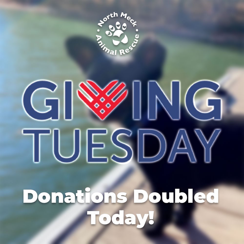 It’s Giving Tuesday! And today your donation will be doubled! 

Giving Tuesday, celebrated the Tuesday after Thanksgiving, was created in 2012 and centered around one main idea. 