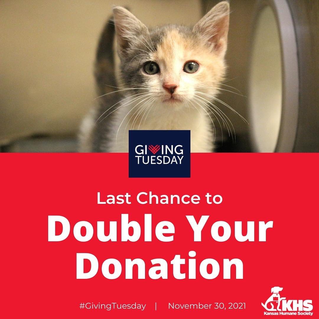 Last Chance to Double Your Donation 
It's <a target='_blank' href='https://www.instagram.com/explore/tags/GivingTuesday/'>#GivingTuesday</a>, and the last day to DOUBLE YOUR DONATION for the homeless pets at KHS. Until 11:59 PM tonight (Nov 30), the Decarsky Foundation is matching $10,000 in donations for the animals at KHS. 
You can also donate through our website at the. Link in our bio: www.kshumane.org/givingtuesday <a target='_blank' href='https://www.instagram.com/explore/tags/GivingTuesday/'>#GivingTuesday</a> 
Our animals say 'Thank You' for your continued support. <a target='_blank' href='https://www.instagram.com/explore/tags/GivingTuesday/'>#GivingTuesday</a>