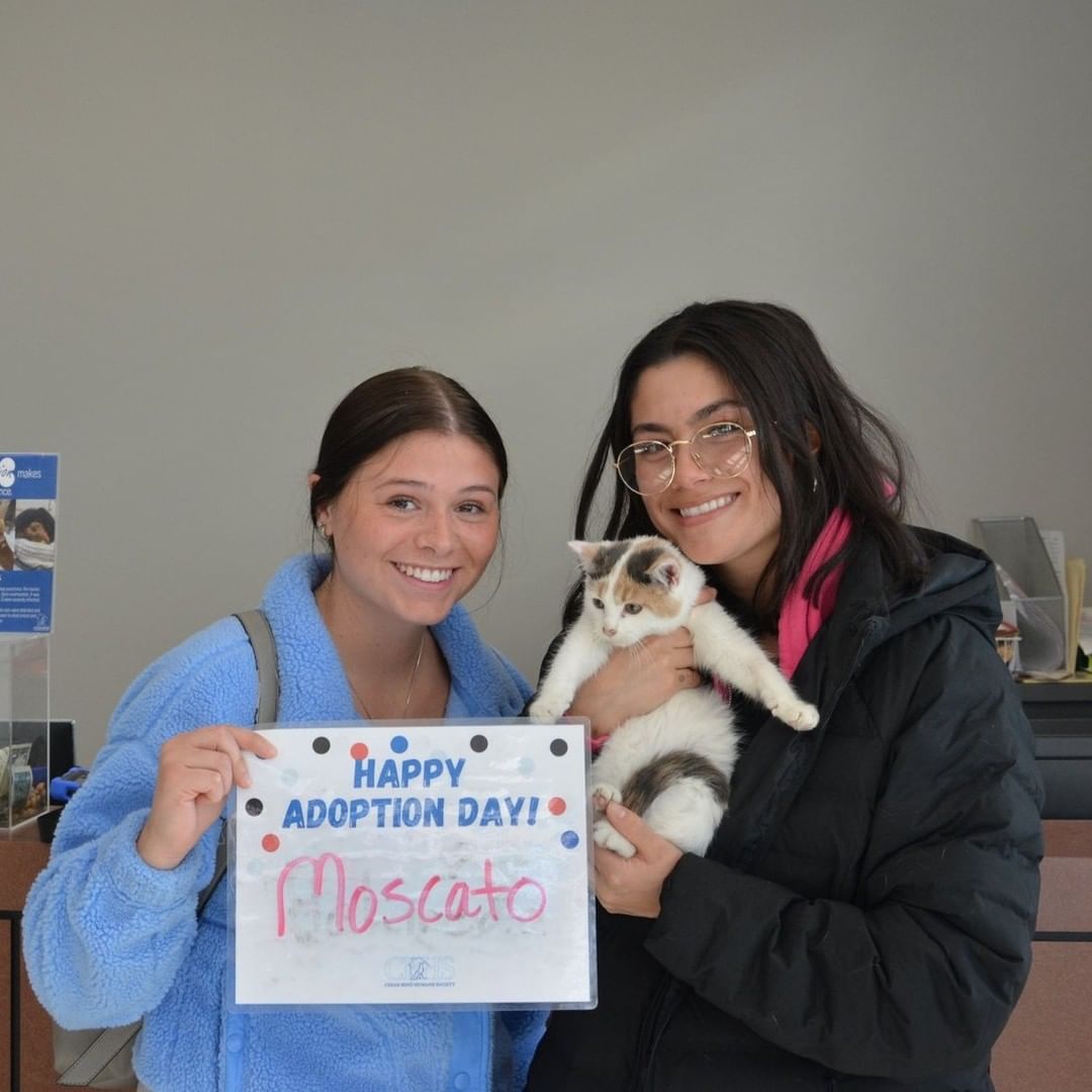 Adoption photo day is one of our favorites to share! 😍 Join us in congratulating all the happy families who adopted over the holiday weekend.