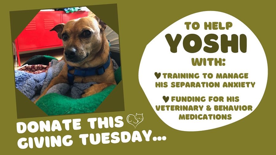 We're extremely grateful to be kicking off this Giving Tuesday with a DONATION MATCH: The first $2,500 raised today will be paired with a corresponding contribution by one of our supporters. Not only is that an amazing opportunity to see the impact of your gift doubled, it will help us get halfway to our $10,000 goal!

Your donations are what give us the ability to say 