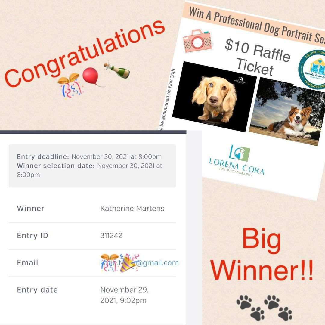 Congratulations to Katherine!!!🤩🎈🎉

She is the big winner of a pet portrait session with @lorena_corapetphotography 🐾

We wanted to thank you all for participating and helping our shelter pets!🐾🙏🏻👏🏻❤️

This was an amazing giveaway!! Yayyyy!! Thank you so much @lorena_corapetphotography for giving us the opportunity to raise funds to our pets!❤️

<a target='_blank' href='https://www.instagram.com/explore/tags/cat/'>#cat</a> <a target='_blank' href='https://www.instagram.com/explore/tags/cats/'>#cats</a> <a target='_blank' href='https://www.instagram.com/explore/tags/catsagram/'>#catsagram</a> <a target='_blank' href='https://www.instagram.com/explore/tags/catstagram/'>#catstagram</a> <a target='_blank' href='https://www.instagram.com/explore/tags/instagood/'>#instagood</a> <a target='_blank' href='https://www.instagram.com/explore/tags/kitten/'>#kitten</a> <a target='_blank' href='https://www.instagram.com/explore/tags/kitty/'>#kitty</a> <a target='_blank' href='https://www.instagram.com/explore/tags/kittens/'>#kittens</a> <a target='_blank' href='https://www.instagram.com/explore/tags/pet/'>#pet</a> <a target='_blank' href='https://www.instagram.com/explore/tags/pets/'>#pets</a> <a target='_blank' href='https://www.instagram.com/explore/tags/animal/'>#animal</a> <a target='_blank' href='https://www.instagram.com/explore/tags/animals/'>#animals</a> <a target='_blank' href='https://www.instagram.com/explore/tags/petstagram/'>#petstagram</a> <a target='_blank' href='https://www.instagram.com/explore/tags/petsagram/'>#petsagram</a> <a target='_blank' href='https://www.instagram.com/explore/tags/photooftheday/'>#photooftheday</a> <a target='_blank' href='https://www.instagram.com/explore/tags/catsofinstagram/'>#catsofinstagram</a> <a target='_blank' href='https://www.instagram.com/explore/tags/ilovemycat/'>#ilovemycat</a> <a target='_blank' href='https://www.instagram.com/explore/tags/instagramcats/'>#instagramcats</a> <a target='_blank' href='https://www.instagram.com/explore/tags/nature/'>#nature</a> <a target='_blank' href='https://www.instagram.com/explore/tags/catoftheday/'>#catoftheday</a> <a target='_blank' href='https://www.instagram.com/explore/tags/lovecats/'>#lovecats</a> <a target='_blank' href='https://www.instagram.com/explore/tags/furry/'>#furry</a> <a target='_blank' href='https://www.instagram.com/explore/tags/sleeping/'>#sleeping</a> <a target='_blank' href='https://www.instagram.com/explore/tags/lovekittens/'>#lovekittens</a> <a target='_blank' href='https://www.instagram.com/explore/tags/adorable/'>#adorable</a> <a target='_blank' href='https://www.instagram.com/explore/tags/catlover/'>#catlover</a> <a target='_blank' href='https://www.instagram.com/explore/tags/ufarescue/'>#ufarescue</a>