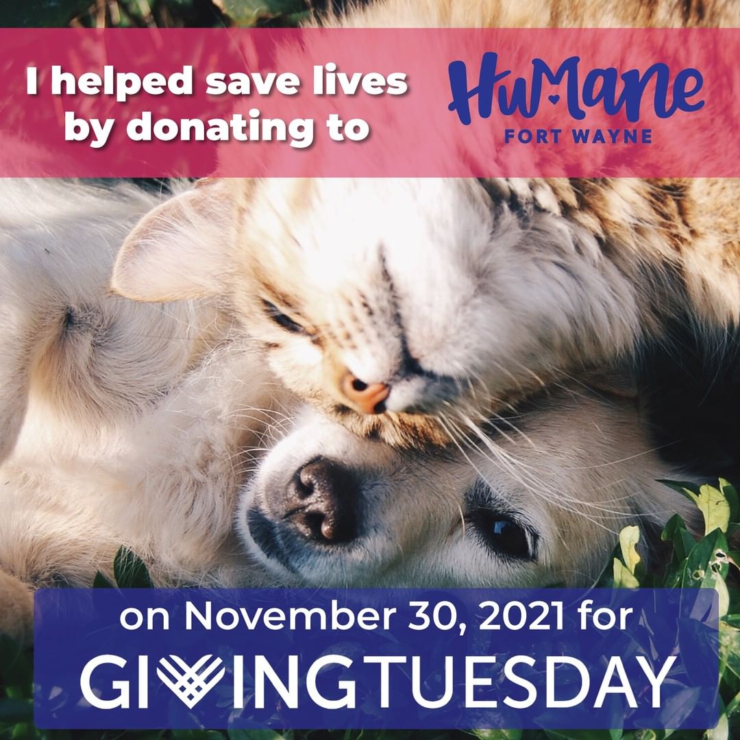 Today, November 30, 2021, donations to Humane Fort Wayne will be matched dollar for dollar by a variety of generous sponsors for <a target='_blank' href='https://www.instagram.com/explore/tags/GivingTuesday/'>#GivingTuesday</a>! ❤

We will be going live on Facebook once an hour between 9AM and 7PM so you can learn more about what we do here at Humane Fort Wayne! Keep up with our progress by following us on Facebook, Instagram, & Twitter!

As Fort Wayne's only nonprofit, 100% donor-funded animal shelter and low-cost spay/neuter and wellness clinic, we rely on the generosity of our community to help us to continue our mission. We are committed to serving pets and the people who love them, and now more than ever, we are here for you. Join us, please! Donate and post one of our pet graphics on your social media to show your support!

🐾 Donate online here: https://humanefw.org/donate/
🐾 Or you can call us at 260-744-0454 until 6:30pm to donate!