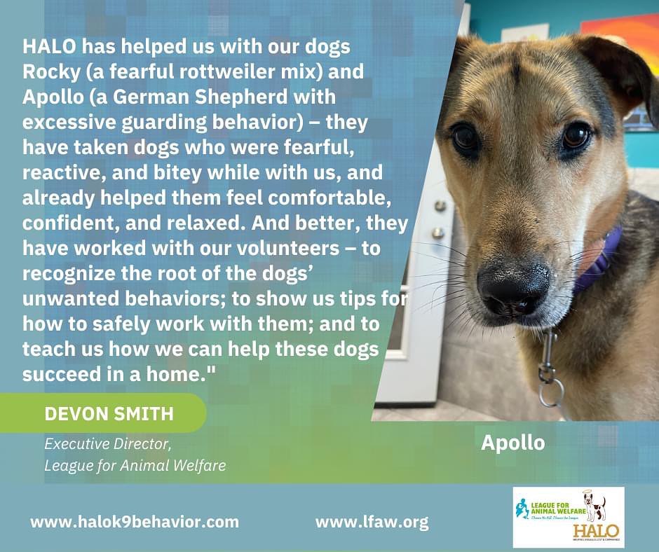 Partnerships with shelters and rescues are valuable in our animal welfare community. HALO's mission is to assist with reducing euthanasia in shelters and what better way to make this possible than to work directly with them. Devon Smith, Executive Director of the League for Animal Welfare, 