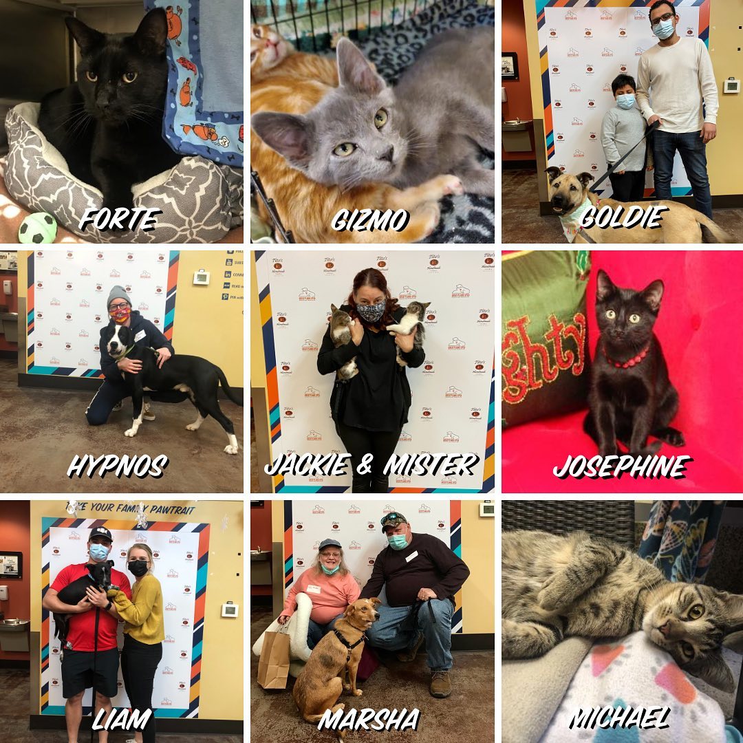 Homeward Bound 🎉🐾 45+ adoptions last week including long term dogs Confetti, Goldie & Pooh Bear! ❤️

<a target='_blank' href='https://www.instagram.com/explore/tags/adopted/'>#adopted</a> <a target='_blank' href='https://www.instagram.com/explore/tags/homewardbound/'>#homewardbound</a> <a target='_blank' href='https://www.instagram.com/explore/tags/shelterpets/'>#shelterpets</a> <a target='_blank' href='https://www.instagram.com/explore/tags/thankyou/'>#thankyou</a> <a target='_blank' href='https://www.instagram.com/explore/tags/adoptdontshop/'>#adoptdontshop</a> <a target='_blank' href='https://www.instagram.com/explore/tags/greatplainsfamily/'>#greatplainsfamily</a> <a target='_blank' href='https://www.instagram.com/explore/tags/greatplainsspca/'>#greatplainsspca</a>