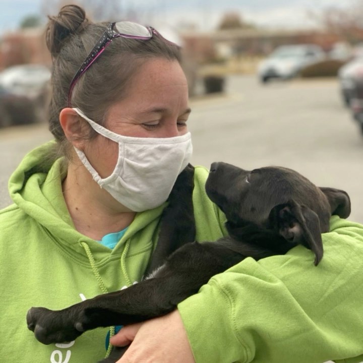 We can confidently say we have some of 𝙏𝙃𝙀 𝘽𝙀𝙎𝙏​​​​​ hardworking animal lovers you can find!

Week after week, our team works tirelessly to support and save so many homeless, 4-legged friends. Some go to the shelters to provide rescue rides, some work at our adoption center to care for the ones housed there, some open up their homes to house fosters, some offer transport for animal, medicine, or vet needs, some work each weekend at our adoption events, and some volunteer their time to work in our 3️⃣ thrift stores where the sales go towards helping us save more animals!

We clearly couldn’t do what we do without our amazing team and your support and donations help our team keep doing what they’re doing!

For <a target='_blank' href='https://www.instagram.com/explore/tags/givingtuesday/'>#givingtuesday</a>, please help our team continue to do what they love- save more homeless animals!

<a target='_blank' href='https://www.instagram.com/explore/tags/anewleashonlife/'>#anewleashonlife</a> <a target='_blank' href='https://www.instagram.com/explore/tags/anewleash/'>#anewleash</a> <a target='_blank' href='https://www.instagram.com/explore/tags/anlol/'>#anlol</a> <a target='_blank' href='https://www.instagram.com/explore/tags/adoptionevent/'>#adoptionevent</a> <a target='_blank' href='https://www.instagram.com/explore/tags/adoptables/'>#adoptables</a> <a target='_blank' href='https://www.instagram.com/explore/tags/adoptdontshop/'>#adoptdontshop</a>  <a target='_blank' href='https://www.instagram.com/explore/tags/rescuedismyfavoritebreed/'>#rescuedismyfavoritebreed</a> <a target='_blank' href='https://www.instagram.com/explore/tags/adoptadog/'>#adoptadog</a> <a target='_blank' href='https://www.instagram.com/explore/tags/adoptacat/'>#adoptacat</a> <a target='_blank' href='https://www.instagram.com/explore/tags/rescuedog/'>#rescuedog</a> <a target='_blank' href='https://www.instagram.com/explore/tags/rescuecat/'>#rescuecat</a> <a target='_blank' href='https://www.instagram.com/explore/tags/spayandneuter/'>#spayandneuter</a> <a target='_blank' href='https://www.instagram.com/explore/tags/savethemall/'>#savethemall</a> <a target='_blank' href='https://www.instagram.com/explore/tags/choosetoadopt/'>#choosetoadopt</a> <a target='_blank' href='https://www.instagram.com/explore/tags/alabamaanimalrescue/'>#alabamaanimalrescue</a> <a target='_blank' href='https://www.instagram.com/explore/tags/adoptme/'>#adoptme</a> <a target='_blank' href='https://www.instagram.com/explore/tags/volunteer/'>#volunteer</a> <a target='_blank' href='https://www.instagram.com/explore/tags/foster/'>#foster</a> <a target='_blank' href='https://www.instagram.com/explore/tags/fosteringsaveslives/'>#fosteringsaveslives</a> <a target='_blank' href='https://www.instagram.com/explore/tags/adoptpurelove/'>#adoptpurelove</a> <a target='_blank' href='https://www.instagram.com/explore/tags/huntsvilleal/'>#huntsvilleal</a> <a target='_blank' href='https://www.instagram.com/explore/tags/rescuepet/'>#rescuepet</a> <a target='_blank' href='https://www.instagram.com/explore/tags/rescuepetsofinstagram/'>#rescuepetsofinstagram</a>  <a target='_blank' href='https://www.instagram.com/explore/tags/rescue/'>#rescue</a> <a target='_blank' href='https://www.instagram.com/explore/tags/madisonal/'>#madisonal</a> <a target='_blank' href='https://www.instagram.com/explore/tags/northalabama/'>#northalabama</a>