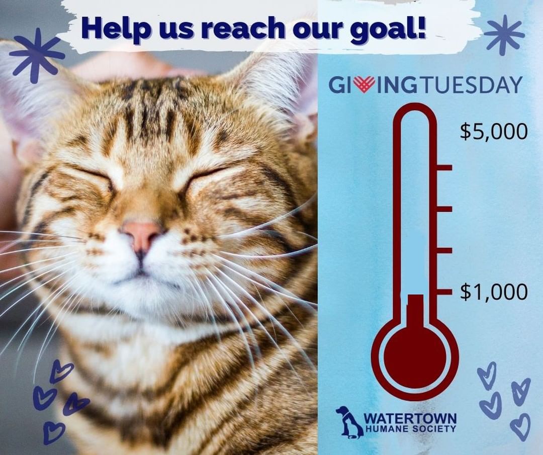 Help us reach our goal of $5,000! We have many expensive updates that our shelter needs (more info on those items on our website). Can you help us with these necessary items? www.whsadopt.org/givingtuesday

HUGE thank you to everyone of you who have already donated! We are so grateful this <a target='_blank' href='https://www.instagram.com/explore/tags/GivingTuesday/'>#GivingTuesday</a>