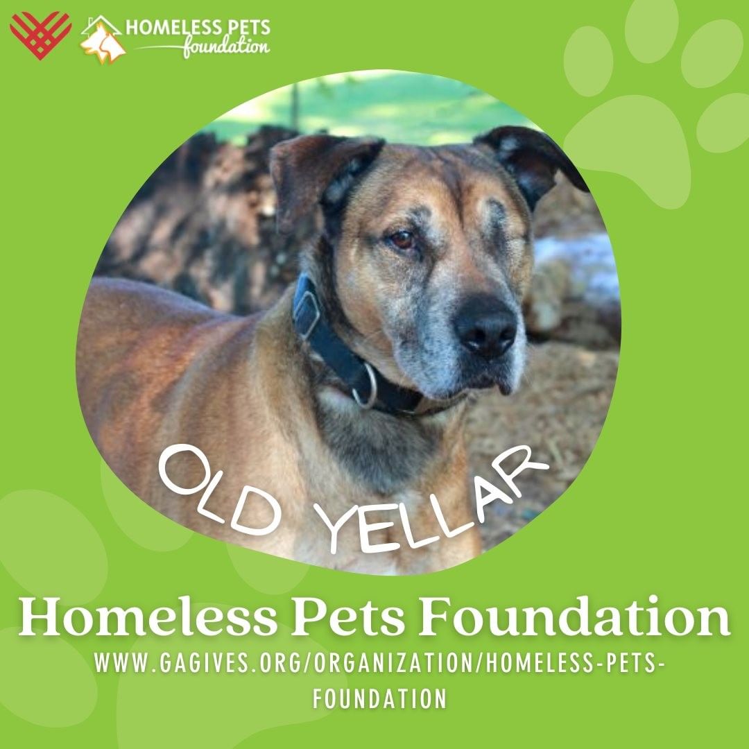 @gagives  has officially begun and we need your help! We have a goal to raise $2,000 by 11:59  p.m., lets make the belated founder of Homeless Pets Proud! <a target='_blank' href='https://www.instagram.com/explore/tags/linkinbio/'>#linkinbio</a> 

<a target='_blank' href='https://www.instagram.com/explore/tags/homelesspetsfoundation/'>#homelesspetsfoundation</a> <a target='_blank' href='https://www.instagram.com/explore/tags/gagives/'>#gagives</a> <a target='_blank' href='https://www.instagram.com/explore/tags/givingtuesday/'>#givingtuesday</a> <a target='_blank' href='https://www.instagram.com/explore/tags/donate/'>#donate</a>  #<a target='_blank' href='https://www.instagram.com/explore/tags/catsof/'>#catsof</a>ınstagram <a target='_blank' href='https://www.instagram.com/explore/tags/dogsofinstagram/'>#dogsofinstagram</a>