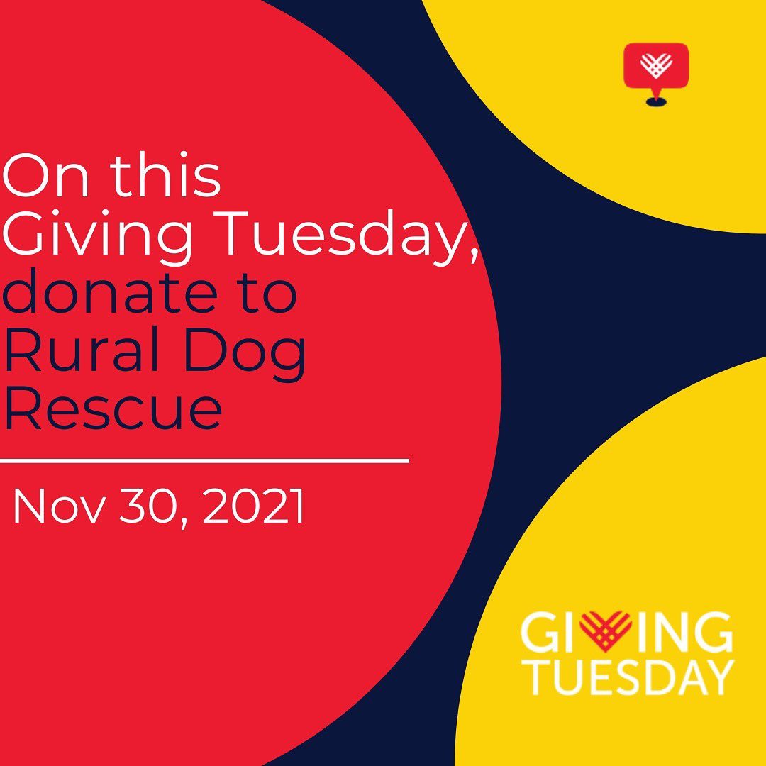 TOMORROW 11/30, is <a target='_blank' href='https://www.instagram.com/explore/tags/GivingTuesday/'>#GivingTuesday</a>, we’re asking for your support in helping us save the <a target='_blank' href='https://www.instagram.com/explore/tags/underdogs/'>#underdogs</a>