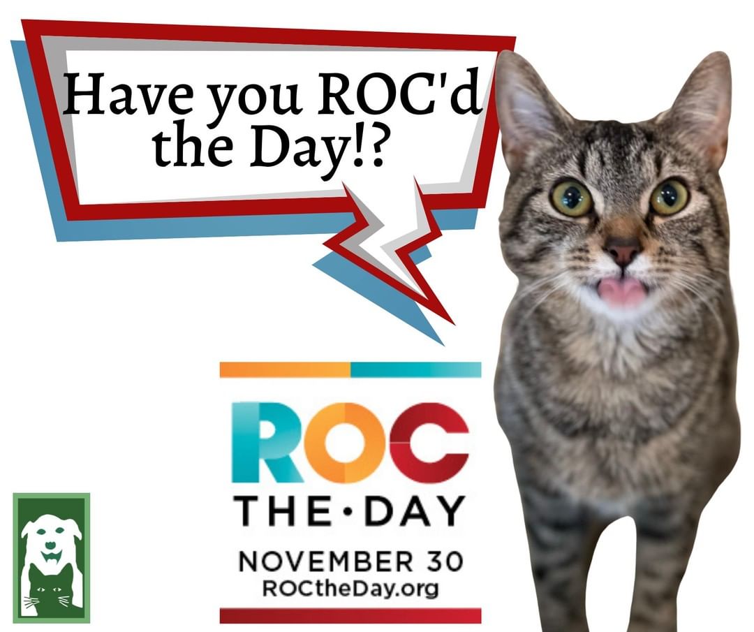 GIVING TUESDAY!
Mercedes wants to know if you've ROC'd the day yet?
No amount is too small!!
24 hours of online giving! Will you help us beat last year's total of $2,668?
Each giving Tuesday really aids in year-end costs! 
www.roctheday.org/humanesocietyofyatescounty
Questions!? Give us a jingle! 315-536-6094
