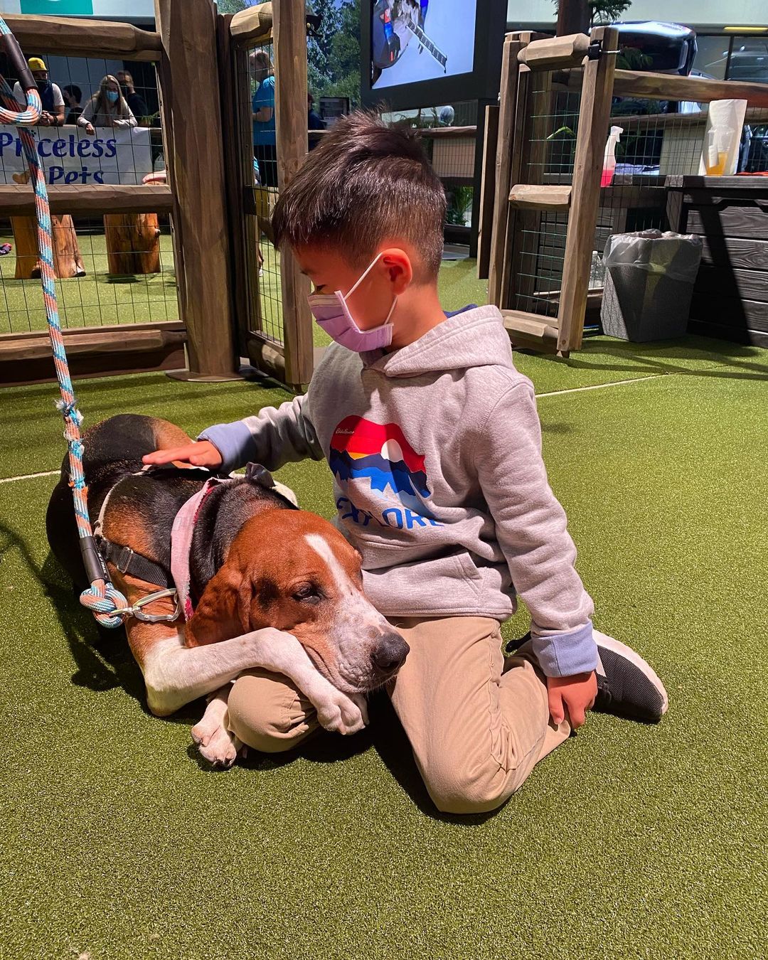 We have had so much fun at the LA AUTO show this week showcasing our adoptable dogs at the @subaru_usa booth! Subaru is an amazing company who truly loves animals. Check out Barrel the hound, who is clearly a hunk! He loves kids and can’t wait to find his forever home. We would say he loves kids, don’t you agree? 

____________________________________________________
<a target='_blank' href='https://www.instagram.com/explore/tags/pricelesspetrescue/'>#pricelesspetrescue</a> <a target='_blank' href='https://www.instagram.com/explore/tags/pricelesspets/'>#pricelesspets</a> <a target='_blank' href='https://www.instagram.com/explore/tags/adopt/'>#adopt</a> <a target='_blank' href='https://www.instagram.com/explore/tags/rescue/'>#rescue</a> <a target='_blank' href='https://www.instagram.com/explore/tags/costamesa/'>#costamesa</a> <a target='_blank' href='https://www.instagram.com/explore/tags/claremont/'>#claremont</a> <a target='_blank' href='https://www.instagram.com/explore/tags/chinohills/'>#chinohills</a> <a target='_blank' href='https://www.instagram.com/explore/tags/inlandempire/'>#inlandempire</a> <a target='_blank' href='https://www.instagram.com/explore/tags/orangecounty/'>#orangecounty</a> <a target='_blank' href='https://www.instagram.com/explore/tags/lacounty/'>#lacounty</a> <a target='_blank' href='https://www.instagram.com/explore/tags/dogsrock/'>#dogsrock</a> <a target='_blank' href='https://www.instagram.com/explore/tags/dogsinneed/'>#dogsinneed</a> <a target='_blank' href='https://www.instagram.com/explore/tags/adoptme/'>#adoptme</a> <a target='_blank' href='https://www.instagram.com/explore/tags/petsofinstagram/'>#petsofinstagram</a> <a target='_blank' href='https://www.instagram.com/explore/tags/dogsofinstagram/'>#dogsofinstagram</a> <a target='_blank' href='https://www.instagram.com/explore/tags/dogstagram/'>#dogstagram</a> <a target='_blank' href='https://www.instagram.com/explore/tags/catsofinstagram/'>#catsofinstagram</a> <a target='_blank' href='https://www.instagram.com/explore/tags/catsinneed/'>#catsinneed</a> <a target='_blank' href='https://www.instagram.com/explore/tags/catsrock/'>#catsrock</a> <a target='_blank' href='https://www.instagram.com/explore/tags/catstagram/'>#catstagram</a> <a target='_blank' href='https://www.instagram.com/explore/tags/rabbitstagram/'>#rabbitstagram</a> <a target='_blank' href='https://www.instagram.com/explore/tags/rabbitsofinstagram/'>#rabbitsofinstagram</a> <a target='_blank' href='https://www.instagram.com/explore/tags/rabbitsofig/'>#rabbitsofig</a> <a target='_blank' href='https://www.instagram.com/explore/tags/rescuebunnies/'>#rescuebunnies</a> <a target='_blank' href='https://www.instagram.com/explore/tags/savingbunbybun/'>#savingbunbybun</a> <a target='_blank' href='https://www.instagram.com/explore/tags/savingonebyone/'>#savingonebyone</a> <a target='_blank' href='https://www.instagram.com/explore/tags/untiltherearenone/'>#untiltherearenone</a> <a target='_blank' href='https://www.instagram.com/explore/tags/petrescue/'>#petrescue</a> <a target='_blank' href='https://www.instagram.com/explore/tags/nokillshelter/'>#nokillshelter</a> <a target='_blank' href='https://www.instagram.com/explore/tags/nonprofit/'>#nonprofit</a>