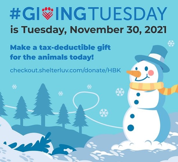 Join the global generosity movement!  Giving Tuesday is this week!  All donations to Happy Bark directly care for the animals in our rescue program.  Visit https://checkout.shelterluv.com/donate/HBK to donate on Giving Tuesday!

<a target='_blank' href='https://www.instagram.com/explore/tags/GivingTuesday/'>#GivingTuesday</a> <a target='_blank' href='https://www.instagram.com/explore/tags/EveryPennyCounts/'>#EveryPennyCounts</a> <a target='_blank' href='https://www.instagram.com/explore/tags/TheyRelyOnYou/'>#TheyRelyOnYou</a> <a target='_blank' href='https://www.instagram.com/explore/tags/HappyBark/'>#HappyBark</a>