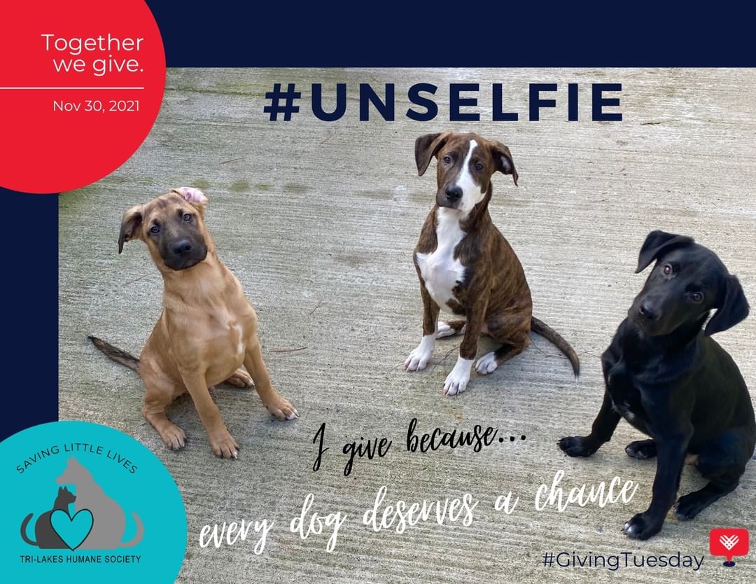 Doc, Hugo, and Luna know first-hand that you just can’t put a price tag on the value on a second chance. They were surrendered to the shelter when their family became homeless. Thanks to your generosity, they received veterinary care, nutritious food, warm beds, toys, socialization, and lots of loving care. Doc, Hugo, and Luna each enjoyed the one-on-one attention they needed to prepare them for loving homes. Now, each one will celebrate the holidays with families of their own . . . a gift you made possible. That’s the power of giving: changing the lives of animals in need.

Together, we can make giving contagious and increase our capacity to transform the lives of animals in the Tri-Lakes region. So, we hope you’ll share your reason for giving by posting an un-selfie to let others know what means most to you. Let’s inspire others to make meaningful change for animals in need. Because every dog deserves a chance.

Giving Tuesday is tomorrow (11/30/21)! All donations made on Facebook will be matched up to $8 million. Not only can you spread the spirit of giving, you can see your generosity doubled! <a target='_blank' href='https://www.instagram.com/explore/tags/unselfie/'>#unselfie</a> <a target='_blank' href='https://www.instagram.com/explore/tags/becausetheymatter/'>#becausetheymatter</a> <a target='_blank' href='https://www.instagram.com/explore/tags/GivingTuesday/'>#GivingTuesday</a> <a target='_blank' href='https://www.instagram.com/explore/tags/adirondacks/'>#adirondacks</a> <a target='_blank' href='https://www.instagram.com/explore/tags/adk/'>#adk</a> <a target='_blank' href='https://www.instagram.com/explore/tags/adirondog/'>#adirondog</a> <a target='_blank' href='https://www.instagram.com/explore/tags/adkdog/'>#adkdog</a> <a target='_blank' href='https://www.instagram.com/explore/tags/dackdog/'>#dackdog</a> <a target='_blank' href='https://www.instagram.com/explore/tags/savinglittlelives/'>#savinglittlelives</a> <a target='_blank' href='https://www.instagram.com/explore/tags/trilakeshumanesociety/'>#trilakeshumanesociety</a> <a target='_blank' href='https://www.instagram.com/explore/tags/saranaclake/'>#saranaclake</a> <a target='_blank' href='https://www.instagram.com/explore/tags/saranaclakeny/'>#saranaclakeny</a> <a target='_blank' href='https://www.instagram.com/explore/tags/tupperlake/'>#tupperlake</a> <a target='_blank' href='https://www.instagram.com/explore/tags/tupperlakeny/'>#tupperlakeny</a> <a target='_blank' href='https://www.instagram.com/explore/tags/lakeplacid/'>#lakeplacid</a> <a target='_blank' href='https://www.instagram.com/explore/tags/lakeplacidny/'>#lakeplacidny</a> <a target='_blank' href='https://www.instagram.com/explore/tags/powerofgiving/'>#powerofgiving</a> <a target='_blank' href='https://www.instagram.com/explore/tags/secondchances/'>#secondchances</a> <a target='_blank' href='https://www.instagram.com/explore/tags/animalsmatter/'>#animalsmatter</a>