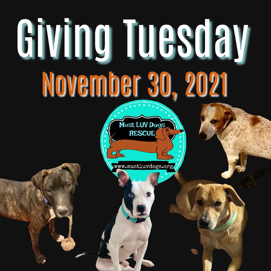 Tomorrow is Giving Tuesday!  It’s a day set aside to donate to your favorite charities.  We appreciate all who donate to help us save the lives of homeless, discarded and abused pups in our area.  Donations made thru FB are matched!  Key to the FB giving is making it early (7am Central Time, if possible). The FB matching funds tend to get used up by large charities early.  However, you can donate all day!  We realize that many great causes are vying for our dollars.  We so appreciate your help!  We don’t receive any public monies and have no large donors.  We have saved the lives of hundreds of dogs in the greater Zachary and East Feliciana parish areas in the past 4 years.  We couldn’t do it without the donations received by our dedicated friends and followers.  Please donate if you can!  <a target='_blank' href='https://www.instagram.com/explore/tags/givingtuesday2021/'>#givingtuesday2021</a> <a target='_blank' href='https://www.instagram.com/explore/tags/mustluvdogsrescue/'>#mustluvdogsrescue</a>🐶 <a target='_blank' href='https://www.instagram.com/explore/tags/rescueluv/'>#rescueluv</a> <a target='_blank' href='https://www.instagram.com/explore/tags/givingback/'>#givingback</a>