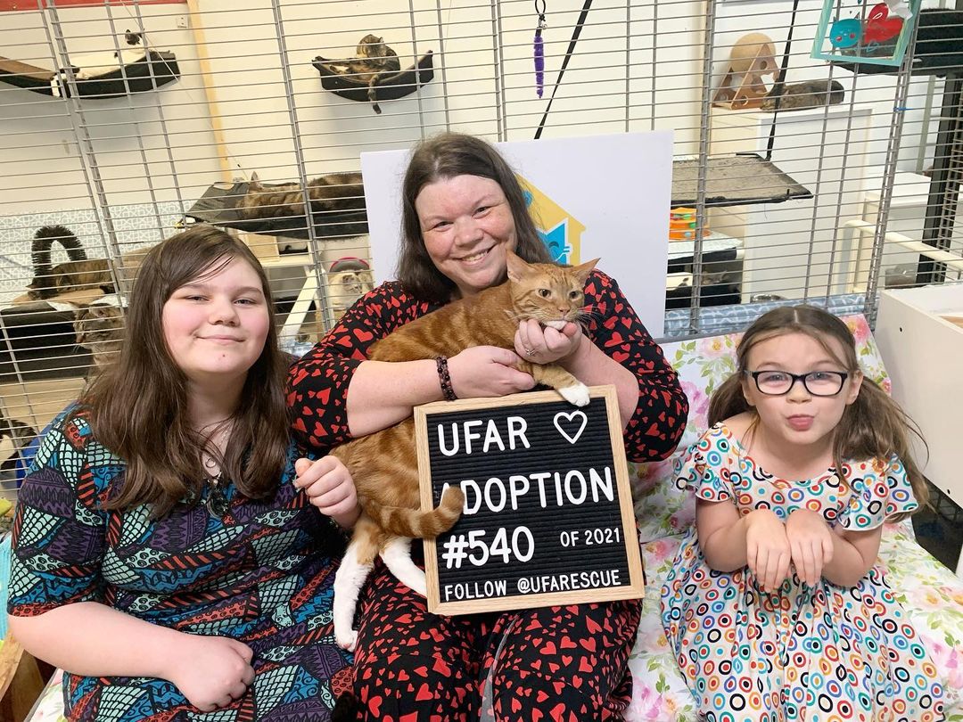 Happy Tail!!🙏🏻😻💕🐾❤️😂

Congratulations Paçoca!! You have done a great job in melting their hearts!!❤️ We are so happy that now you have a big family that will be all over you with hugs and lots of love!!💕🐾 

Thank you for adopting a shelter pet!!

.
.
<a target='_blank' href='https://www.instagram.com/explore/tags/catshelter/'>#catshelter</a> <a target='_blank' href='https://www.instagram.com/explore/tags/prieglaudabukmanodraugas/'>#prieglaudabukmanodraugas</a> <a target='_blank' href='https://www.instagram.com/explore/tags/shelterpet/'>#shelterpet</a> <a target='_blank' href='https://www.instagram.com/explore/tags/fundraisenoteuthanaise/'>#fundraisenoteuthanaise</a> <a target='_blank' href='https://www.instagram.com/explore/tags/catsofnewtown/'>#catsofnewtown</a> <a target='_blank' href='https://www.instagram.com/explore/tags/gofundmedonation/'>#gofundmedonation</a> <a target='_blank' href='https://www.instagram.com/explore/tags/helpcats/'>#helpcats</a> <a target='_blank' href='https://www.instagram.com/explore/tags/refugeanimalier/'>#refugeanimalier</a> <a target='_blank' href='https://www.instagram.com/explore/tags/adoptionchat/'>#adoptionchat</a> <a target='_blank' href='https://www.instagram.com/explore/tags/helpdogs/'>#helpdogs</a> <a target='_blank' href='https://www.instagram.com/explore/tags/dogshelter/'>#dogshelter</a> <a target='_blank' href='https://www.instagram.com/explore/tags/benevoles/'>#benevoles</a> <a target='_blank' href='https://www.instagram.com/explore/tags/gattile/'>#gattile</a> <a target='_blank' href='https://www.instagram.com/explore/tags/rescuepet/'>#rescuepet</a> <a target='_blank' href='https://www.instagram.com/explore/tags/amoureuxdeschats/'>#amoureuxdeschats</a> <a target='_blank' href='https://www.instagram.com/explore/tags/adopteznachetezpas/'>#adopteznachetezpas</a> <a target='_blank' href='https://www.instagram.com/explore/tags/rescueanimal/'>#rescueanimal</a> <a target='_blank' href='https://www.instagram.com/explore/tags/catshelters/'>#catshelters</a> <a target='_blank' href='https://www.instagram.com/explore/tags/rescuecatsofinsta/'>#rescuecatsofinsta</a> <a target='_blank' href='https://www.instagram.com/explore/tags/adoptdontbuy/'>#adoptdontbuy</a> <a target='_blank' href='https://www.instagram.com/explore/tags/helpus/'>#helpus</a> <a target='_blank' href='https://www.instagram.com/explore/tags/animalshelter/'>#animalshelter</a> <a target='_blank' href='https://www.instagram.com/explore/tags/adoptacat/'>#adoptacat</a> <a target='_blank' href='https://www.instagram.com/explore/tags/catadoption/'>#catadoption</a> <a target='_blank' href='https://www.instagram.com/explore/tags/rescuekitties/'>#rescuekitties</a> <a target='_blank' href='https://www.instagram.com/explore/tags/catsanctuary/'>#catsanctuary</a> <a target='_blank' href='https://www.instagram.com/explore/tags/benevole/'>#benevole</a> <a target='_blank' href='https://www.instagram.com/explore/tags/sheltercat/'>#sheltercat</a> <a target='_blank' href='https://www.instagram.com/explore/tags/benevolat/'>#benevolat</a> <a target='_blank' href='https://www.instagram.com/explore/tags/ufarescue/'>#ufarescue</a>