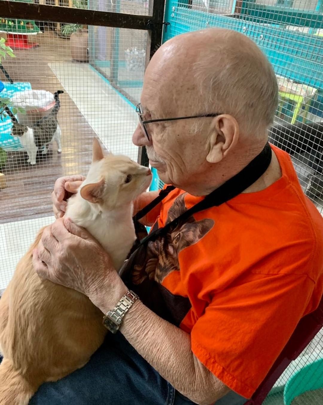 Today we wanted to highlight the importance of volunteers. 

Did you know that RSQ is run 100% by a team of volunteers? We have zero paid employees and the work we do is truly a labor of love. 

We have approx 70 active volunteers who take turns working morning and evening shifts to care for over 100 animals at our adoption center. We have volunteers from age 18- 88. 
From all different backgrounds and walks of life. And everyone brings different ideas and experience to the table. 

Meet Larry! 

Larry is 86 years young and he volunteers his time to sit with the cats and give them love and attention. He also loves to take pictures of the cats and he ALWAYS dresses in his finest Cat shirts for the occasion. 😃 

We are grateful for the hundreds of hours per week that our amazing volunteers put in every week to care for our animals. If you are interested in joining our volunteer team, please fill out a volunteer application through our website. 

rsqutah.org

<a target='_blank' href='https://www.instagram.com/explore/tags/CatMan/'>#CatMan</a>
<a target='_blank' href='https://www.instagram.com/explore/tags/Volunteer/'>#Volunteer</a>
<a target='_blank' href='https://www.instagram.com/explore/tags/RuralRescue/'>#RuralRescue</a> 
<a target='_blank' href='https://www.instagram.com/explore/tags/TeamWork/'>#TeamWork</a>