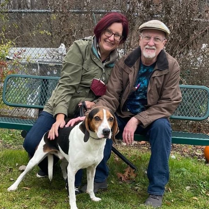 With <a target='_blank' href='https://www.instagram.com/explore/tags/GivingTuesday/'>#GivingTuesday</a> only a few hours away, we have some more
Adorable Adoption Announcements to share ... because THIS is what it is all about! 🏡  Beauregard, Frederick and Ruby Red (formally adopted by her foster family!) have found their forever homes!  Happy lives, sweet ones! ♥️

<a target='_blank' href='https://www.instagram.com/explore/tags/WeAreFamily/'>#WeAreFamily</a> <a target='_blank' href='https://www.instagram.com/explore/tags/TodayTomorrowTogether/'>#TodayTomorrowTogether</a> <a target='_blank' href='https://www.instagram.com/explore/tags/OptToAdopt/'>#OptToAdopt</a> <a target='_blank' href='https://www.instagram.com/explore/tags/OneByOne/'>#OneByOne</a> <a target='_blank' href='https://www.instagram.com/explore/tags/UntilThereAreNone/'>#UntilThereAreNone</a> <a target='_blank' href='https://www.instagram.com/explore/tags/smile/'>#smile</a>