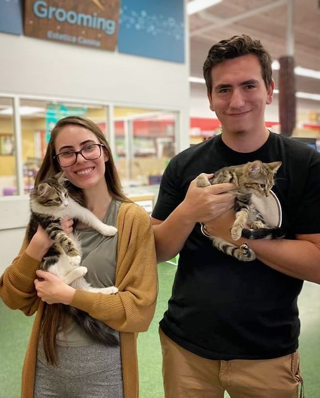 🏡 More awesome adoptions to brighten your Monday 💖

These lucky furbabies are going to be spending their first holidays with their new families:
1) Belladonna the baby panther 
2) Izzy the tortie kitten 
3) Poison Ivy the tabby kitten 
4) Sooni the tuxie 
5) Kittens Boogie Oogie and Sally went home together 
6) Bathsheba the black Lab
7) Chase the tuxie

As always a huge thank you to our fosters, volunteers, staff, supporters and especially our adopters who make all this happiness possible 🙏🏼🙏🏼🙏🏼
We love you ❤

<a target='_blank' href='https://www.instagram.com/explore/tags/allaboutanimalsrescueaz/'>#allaboutanimalsrescueaz</a> <a target='_blank' href='https://www.instagram.com/explore/tags/savealife/'>#savealife</a> <a target='_blank' href='https://www.instagram.com/explore/tags/compassioninaction/'>#compassioninaction</a> <a target='_blank' href='https://www.instagram.com/explore/tags/adoptdontshop/'>#adoptdontshop</a> <a target='_blank' href='https://www.instagram.com/explore/tags/rescuedismyfavoritebreed/'>#rescuedismyfavoritebreed</a> <a target='_blank' href='https://www.instagram.com/explore/tags/rescuefosteradopt/'>#rescuefosteradopt</a> <a target='_blank' href='https://www.instagram.com/explore/tags/fosteringsaveslives/'>#fosteringsaveslives</a> <a target='_blank' href='https://www.instagram.com/explore/tags/thinkadoptionfirst/'>#thinkadoptionfirst</a> <a target='_blank' href='https://www.instagram.com/explore/tags/lovechangeseverything/'>#lovechangeseverything</a> <a target='_blank' href='https://www.instagram.com/explore/tags/allyouneedislove/'>#allyouneedislove</a> <a target='_blank' href='https://www.instagram.com/explore/tags/ifoundmyfureverhome/'>#ifoundmyfureverhome</a> <a target='_blank' href='https://www.instagram.com/explore/tags/happyeverafter/'>#happyeverafter</a> <a target='_blank' href='https://www.instagram.com/explore/tags/happytails/'>#happytails</a> <a target='_blank' href='https://www.instagram.com/explore/tags/fureverhome/'>#fureverhome</a> <a target='_blank' href='https://www.instagram.com/explore/tags/homesweethome/'>#homesweethome</a> <a target='_blank' href='https://www.instagram.com/explore/tags/thankful/'>#thankful</a> <a target='_blank' href='https://www.instagram.com/explore/tags/gratitude/'>#gratitude</a> <a target='_blank' href='https://www.instagram.com/explore/tags/helpussavelives/'>#helpussavelives</a> <a target='_blank' href='https://www.instagram.com/explore/tags/weloveouradopters/'>#weloveouradopters</a> <a target='_blank' href='https://www.instagram.com/explore/tags/thankyouforchoosingadoption/'>#thankyouforchoosingadoption</a> <a target='_blank' href='https://www.instagram.com/explore/tags/supportrescue/'>#supportrescue</a> <a target='_blank' href='https://www.instagram.com/explore/tags/rescueworks/'>#rescueworks</a> <a target='_blank' href='https://www.instagram.com/explore/tags/fromthestreetstothesheets/'>#fromthestreetstothesheets</a> <a target='_blank' href='https://www.instagram.com/explore/tags/rescuepetsrock/'>#rescuepetsrock</a>