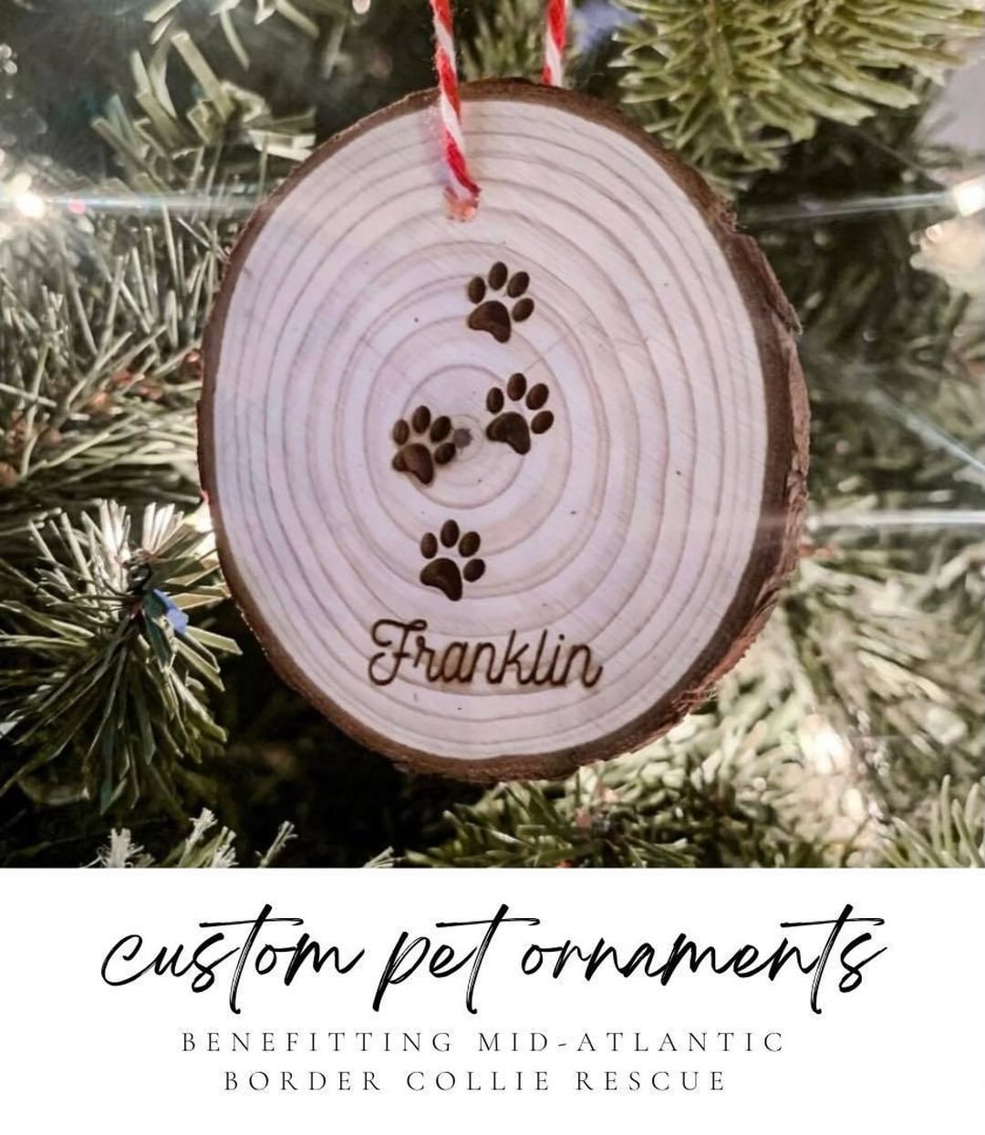 If you're as in love with your pup as we are you probably already have a Christmas ornament (and stocking, and cute Santa costume, etc.) for them. But really, can you ever have too many personalized pet ornaments? The answer is no. No you cannot.
🐾
This year The Sweet Tea Woodshop is donating 100% of the profits from their custom pet ornaments to us. Each ornament is $8 each. Check the comments for the link! 
🐾
<a target='_blank' href='https://www.instagram.com/explore/tags/BePartOfOurTeam/'>#BePartOfOurTeam</a> <a target='_blank' href='https://www.instagram.com/explore/tags/woof/'>#woof</a> <a target='_blank' href='https://www.instagram.com/explore/tags/rescuedogs/'>#rescuedogs</a> <a target='_blank' href='https://www.instagram.com/explore/tags/rightdogrighthome/'>#rightdogrighthome</a> <a target='_blank' href='https://www.instagram.com/explore/tags/bordercollie/'>#bordercollie</a> <a target='_blank' href='https://www.instagram.com/explore/tags/midatlanticbordercollierescue/'>#midatlanticbordercollierescue</a> <a target='_blank' href='https://www.instagram.com/explore/tags/rescuedismyfavoritebreed/'>#rescuedismyfavoritebreed</a> <a target='_blank' href='https://www.instagram.com/explore/tags/HelpUsHelpThem/'>#HelpUsHelpThem</a> <a target='_blank' href='https://www.instagram.com/explore/tags/mabcr/'>#mabcr</a> <a target='_blank' href='https://www.instagram.com/explore/tags/wecannotdothiswithoutyou/'>#wecannotdothiswithoutyou</a> <a target='_blank' href='https://www.instagram.com/explore/tags/fundraisingforacause/'>#fundraisingforacause</a> <a target='_blank' href='https://www.instagram.com/explore/tags/rescuedogsrock/'>#rescuedogsrock</a> <a target='_blank' href='https://www.instagram.com/explore/tags/fundraiser/'>#fundraiser</a>