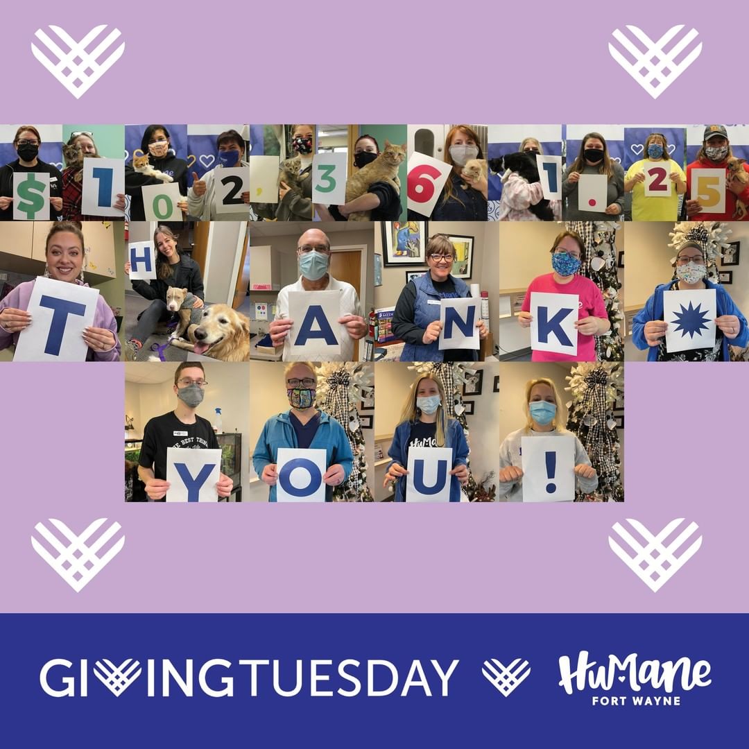 🎉 THANK YOU! 🎉 Yesterday, thanks to the incredible support we received from our friends and donors, Humane Fort Wayne had an AMAZING <a target='_blank' href='https://www.instagram.com/explore/tags/GivingTuesday/'>#GivingTuesday</a>! Together, we raised a total of $102,361.25! These dollars are what make it possible for us to continue our mission and provide care for pets and the people who love them at both our shelter and clinic locations. We are incredibly humbled by your generosity and by your unwavering support. Thank you, from the bottom of our hearts! ❤

.
.
.
<a target='_blank' href='https://www.instagram.com/explore/tags/Thankful/'>#Thankful</a> <a target='_blank' href='https://www.instagram.com/explore/tags/Grateful/'>#Grateful</a> <a target='_blank' href='https://www.instagram.com/explore/tags/Humbled/'>#Humbled</a> <a target='_blank' href='https://www.instagram.com/explore/tags/GivingTuesday/'>#GivingTuesday</a> <a target='_blank' href='https://www.instagram.com/explore/tags/GivingTuesday2021/'>#GivingTuesday2021</a> <a target='_blank' href='https://www.instagram.com/explore/tags/Donate/'>#Donate</a> <a target='_blank' href='https://www.instagram.com/explore/tags/AdoptDontShop/'>#AdoptDontShop</a>  <a target='_blank' href='https://www.instagram.com/explore/tags/FortWayne/'>#FortWayne</a> <a target='_blank' href='https://www.instagram.com/explore/tags/FortWayneIndiana/'>#FortWayneIndiana</a> <a target='_blank' href='https://www.instagram.com/explore/tags/Adopt/'>#Adopt</a> <a target='_blank' href='https://www.instagram.com/explore/tags/Spayandneuter/'>#Spayandneuter</a> <a target='_blank' href='https://www.instagram.com/explore/tags/HumaneFW/'>#HumaneFW</a>