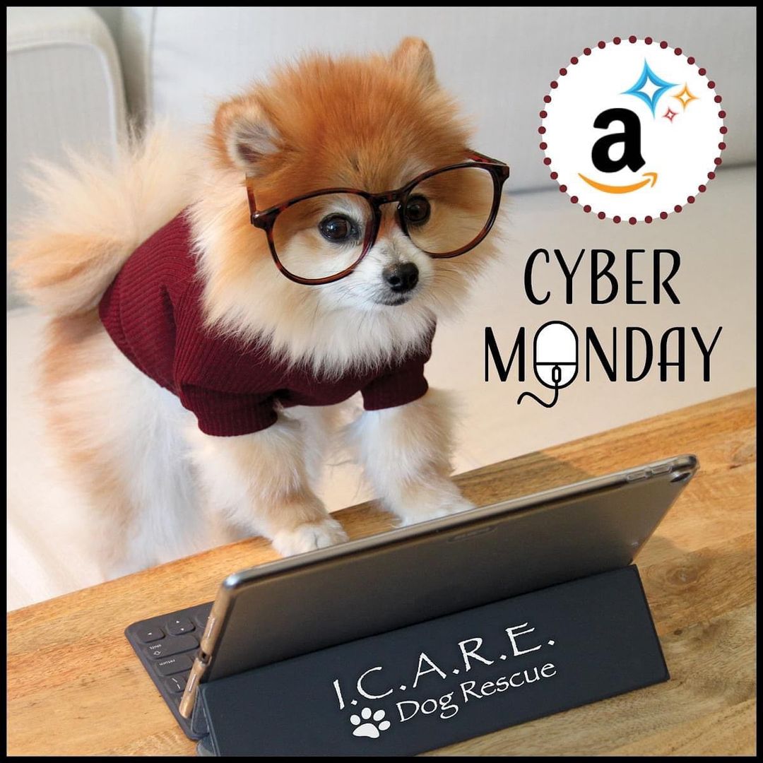 💻CYBER MONDAY💻 
Help support our rescue this cyber Monday by donating some much needed supplies to our pups! We are running low on supplies (especially for puppies) so we are reaching out for help. Please click the link in our bio to donate!