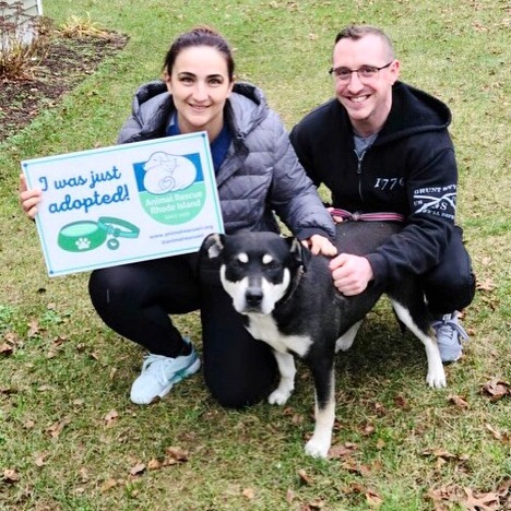 ADOPTED! Yayyyy!! We are feeling super thankful today as our gorgeous <a target='_blank' href='https://www.instagram.com/explore/tags/GivingTuesday/'>#GivingTuesday</a> mascot Joey got adopted this Thanksgiving weekend! 🧡 Seeing this happy Husky-mix find a loving home was one of our major wishes for this campaign so we are thrilled! 🎉 If you’d like to give us even more reason to celebrate please join us for this global day of giving, tomorrow Tuesday 30th November! It would mean the world to us! 

<a target='_blank' href='https://www.instagram.com/explore/tags/happyhome/'>#happyhome</a> <a target='_blank' href='https://www.instagram.com/explore/tags/igotadopted/'>#igotadopted</a> <a target='_blank' href='https://www.instagram.com/explore/tags/rescuedogsofinstagram/'>#rescuedogsofinstagram</a> <a target='_blank' href='https://www.instagram.com/explore/tags/rescuedogs/'>#rescuedogs</a> <a target='_blank' href='https://www.instagram.com/explore/tags/huskylove/'>#huskylove</a> <a target='_blank' href='https://www.instagram.com/explore/tags/huskymix/'>#huskymix</a> <a target='_blank' href='https://www.instagram.com/explore/tags/thankful/'>#thankful</a> <a target='_blank' href='https://www.instagram.com/explore/tags/givingtuesday2021/'>#givingtuesday2021</a>