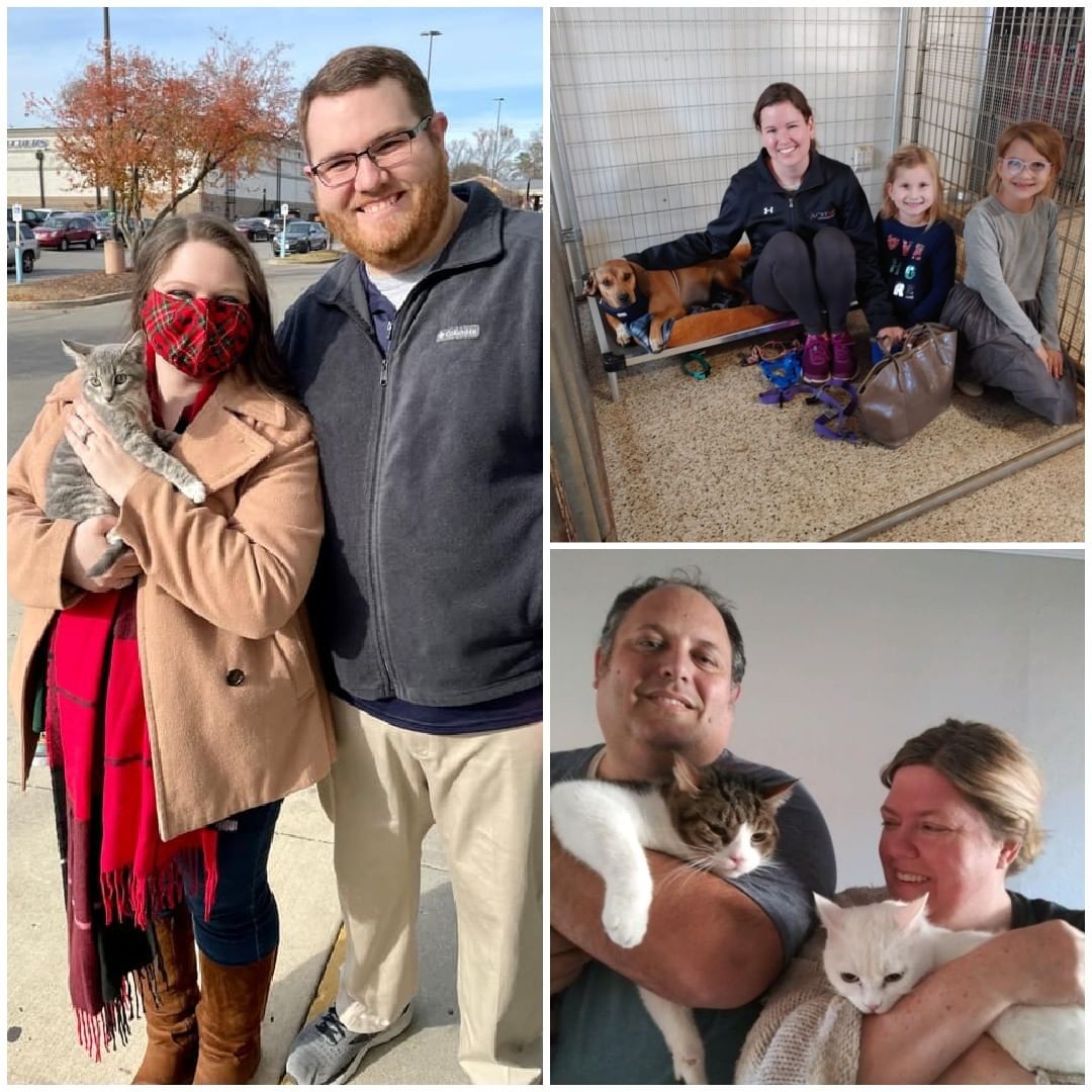 <a target='_blank' href='https://www.instagram.com/explore/tags/HappyTails/'>#HappyTails</a> to over 45 of our cats and dogs who found fantastic homes this week! We are so thankful for all who chose to adopt a furry family member! 
🐶💚🐱
If you’d like to find a best friend too, head on over to our website to see who is looking for a furever family! If you see a pet you’re interested in, please fill out an adoption survey to get connected with our adoption team who can set up a meet and greet! 
www.anewleash.org

<a target='_blank' href='https://www.instagram.com/explore/tags/anewleashonlife/'>#anewleashonlife</a> <a target='_blank' href='https://www.instagram.com/explore/tags/anewleash/'>#anewleash</a> <a target='_blank' href='https://www.instagram.com/explore/tags/anlol/'>#anlol</a> <a target='_blank' href='https://www.instagram.com/explore/tags/adoptionevent/'>#adoptionevent</a> <a target='_blank' href='https://www.instagram.com/explore/tags/adoptables/'>#adoptables</a> <a target='_blank' href='https://www.instagram.com/explore/tags/adoptdontshop/'>#adoptdontshop</a>  <a target='_blank' href='https://www.instagram.com/explore/tags/rescuedismyfavoritebreed/'>#rescuedismyfavoritebreed</a> <a target='_blank' href='https://www.instagram.com/explore/tags/adoptadog/'>#adoptadog</a> <a target='_blank' href='https://www.instagram.com/explore/tags/adoptacat/'>#adoptacat</a> <a target='_blank' href='https://www.instagram.com/explore/tags/rescuedog/'>#rescuedog</a> <a target='_blank' href='https://www.instagram.com/explore/tags/rescuecat/'>#rescuecat</a> <a target='_blank' href='https://www.instagram.com/explore/tags/spayandneuter/'>#spayandneuter</a> <a target='_blank' href='https://www.instagram.com/explore/tags/savethemall/'>#savethemall</a> <a target='_blank' href='https://www.instagram.com/explore/tags/choosetoadopt/'>#choosetoadopt</a> <a target='_blank' href='https://www.instagram.com/explore/tags/alabamaanimalrescue/'>#alabamaanimalrescue</a> <a target='_blank' href='https://www.instagram.com/explore/tags/adoptme/'>#adoptme</a> <a target='_blank' href='https://www.instagram.com/explore/tags/volunteer/'>#volunteer</a> <a target='_blank' href='https://www.instagram.com/explore/tags/foster/'>#foster</a> <a target='_blank' href='https://www.instagram.com/explore/tags/fosteringsaveslives/'>#fosteringsaveslives</a> <a target='_blank' href='https://www.instagram.com/explore/tags/adoptpurelove/'>#adoptpurelove</a> <a target='_blank' href='https://www.instagram.com/explore/tags/huntsvilleal/'>#huntsvilleal</a> <a target='_blank' href='https://www.instagram.com/explore/tags/rescuepet/'>#rescuepet</a> <a target='_blank' href='https://www.instagram.com/explore/tags/rescuepetsofinstagram/'>#rescuepetsofinstagram</a>  <a target='_blank' href='https://www.instagram.com/explore/tags/rescue/'>#rescue</a> <a target='_blank' href='https://www.instagram.com/explore/tags/madisonal/'>#madisonal</a> <a target='_blank' href='https://www.instagram.com/explore/tags/northalabama/'>#northalabama</a>