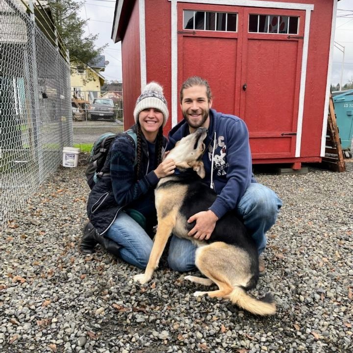 Today is Giving Tuesday and the adoption train keeps chugging along! 😄💓

Breezy is giving the adoption process a 2nd try and boy is she loving it! The happy doggy really leaned on into her new family confidently for the picture, relishing the whole experience. You go, Breezy!

Jake is determined to find himself the perfect forever home and we have a great feeling on this one! He was really comfy in his new human's arms. We believe in you, Jake!

Olive is a beautiful gray kitty with dazzling orbs for eyes. She is already on her way to making herself comfy on one of her new family member's laps. A comfy kitty is a happy kitty!

We want to send thanks to today's brilliant adopters. If you are interested in adopting please check out: http://www.pawsgh.org/adoptablepets/

<a target='_blank' href='https://www.instagram.com/explore/tags/adoptdontshop/'>#adoptdontshop</a> <a target='_blank' href='https://www.instagram.com/explore/tags/makeadifference/'>#makeadifference</a> <a target='_blank' href='https://www.instagram.com/explore/tags/dog/'>#dog</a> <a target='_blank' href='https://www.instagram.com/explore/tags/dogs/'>#dogs</a> <a target='_blank' href='https://www.instagram.com/explore/tags/cat/'>#cat</a> <a target='_blank' href='https://www.instagram.com/explore/tags/cats/'>#cats</a> <a target='_blank' href='https://www.instagram.com/explore/tags/kitten/'>#kitten</a> <a target='_blank' href='https://www.instagram.com/explore/tags/kittens/'>#kittens</a> <a target='_blank' href='https://www.instagram.com/explore/tags/sheperd/'>#sheperd</a> <a target='_blank' href='https://www.instagram.com/explore/tags/husky/'>#husky</a> <a target='_blank' href='https://www.instagram.com/explore/tags/graycat/'>#graycat</a> <a target='_blank' href='https://www.instagram.com/explore/tags/tabby/'>#tabby</a> <a target='_blank' href='https://www.instagram.com/explore/tags/graytabby/'>#graytabby</a> <a target='_blank' href='https://www.instagram.com/explore/tags/dogsofinstagram/'>#dogsofinstagram</a> <a target='_blank' href='https://www.instagram.com/explore/tags/catsofinstagram/'>#catsofinstagram</a> <a target='_blank' href='https://www.instagram.com/explore/tags/kittensofinstagram/'>#kittensofinstagram</a> <a target='_blank' href='https://www.instagram.com/explore/tags/pawsghdogs/'>#pawsghdogs</a> <a target='_blank' href='https://www.instagram.com/explore/tags/pawsghcats/'>#pawsghcats</a> <a target='_blank' href='https://www.instagram.com/explore/tags/pawsghkittens/'>#pawsghkittens</a> <a target='_blank' href='https://www.instagram.com/explore/tags/pawsgh/'>#pawsgh</a> <a target='_blank' href='https://www.instagram.com/explore/tags/cute/'>#cute</a> <a target='_blank' href='https://www.instagram.com/explore/tags/cuteanimals/'>#cuteanimals</a> <a target='_blank' href='https://www.instagram.com/explore/tags/animalshelter/'>#animalshelter</a>