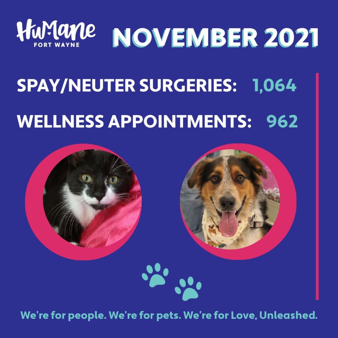 We are feeling thankful for our Clinic team! 🧡 During the month of November, our Surgery staff worked hard and spayed/neutered a total of 1,064 dogs and cats! Our Wellness team also helped another 962 pets in our Wellness Clinic!

We’d like to take a moment to celebrate this past month’s work with you! Thank you for supporting our mission! 🐾