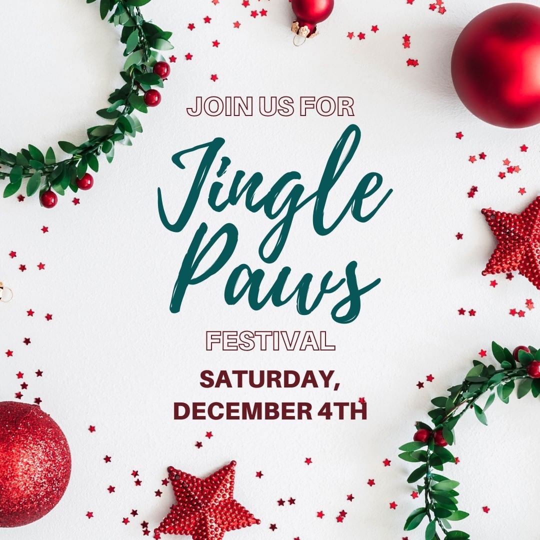 Join us this Saturday to celebrate at our Jingle Paws Festival from 11am-3pm. Bring your pup to get photos with Santa Paws, make paw print ornaments, enjoy hot cocoa, bake sale items and more!

It's the most wonderful time of the year ❄