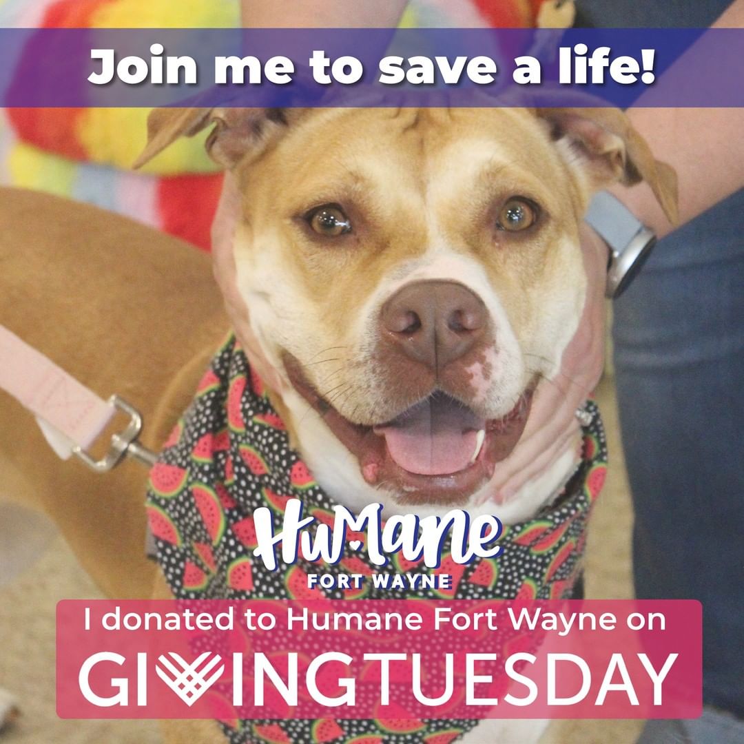 Today, November 30, 2021, donations to Humane Fort Wayne will be matched dollar for dollar by a variety of generous sponsors for <a target='_blank' href='https://www.instagram.com/explore/tags/GivingTuesday/'>#GivingTuesday</a>! ❤

We will be going live on Facebook once an hour between 9AM and 7PM so you can learn more about what we do here at Humane Fort Wayne! Keep up with our progress by following us on Facebook, Instagram, & Twitter!

As Fort Wayne's only nonprofit, 100% donor-funded animal shelter and low-cost spay/neuter and wellness clinic, we rely on the generosity of our community to help us to continue our mission. We are committed to serving pets and the people who love them, and now more than ever, we are here for you. Join us, please! Donate and post one of our pet graphics on your social media to show your support!

🐾 Donate online here: https://humanefw.org/donate/
🐾 Or you can call us at 260-744-0454 until 6:30pm to donate!