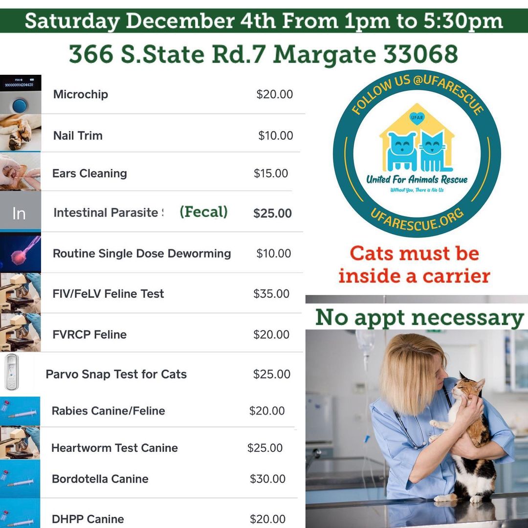 🐾🐾🐾🐾
Wellness Pet Day Services at UFAR!!

Bring your pet on December 4th from 1pm to 5:30pm! Fist come, first served and no appt necessary!😻🐶

😻Cats must be inside a carrier.
🐶Dogs must be on a leash.

366 South State rd.7 Margate 33068

Because it is so important that us humans ensure their health and well-being! They can’t do it on their own!❤️

<a target='_blank' href='https://www.instagram.com/explore/tags/ufarescue/'>#ufarescue</a> <a target='_blank' href='https://www.instagram.com/explore/tags/margateflorida/'>#margateflorida</a> <a target='_blank' href='https://www.instagram.com/explore/tags/northlauderdale/'>#northlauderdale</a> <a target='_blank' href='https://www.instagram.com/explore/tags/tamarac/'>#tamarac</a> <a target='_blank' href='https://www.instagram.com/explore/tags/pompanobeach/'>#pompanobeach</a> <a target='_blank' href='https://www.instagram.com/explore/tags/coralspringsfl/'>#coralspringsfl</a> <a target='_blank' href='https://www.instagram.com/explore/tags/petwellbeing/'>#petwellbeing</a> <a target='_blank' href='https://www.instagram.com/explore/tags/petvaccinations/'>#petvaccinations</a> <a target='_blank' href='https://www.instagram.com/explore/tags/microchippets/'>#microchippets</a>💕 <a target='_blank' href='https://www.instagram.com/explore/tags/catsanddogs/'>#catsanddogs</a>