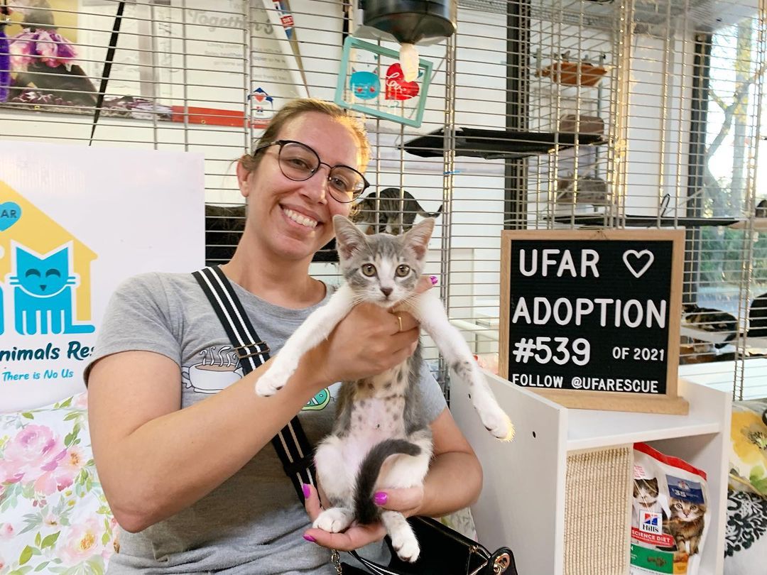 Happy Tail!!😻🙏🏻🐾❤️🤩

Mel’s new mommy was super excited to pick her up today!! She couldn’t resist at so much charming and cuteness!!❤️ 

Congratulations Mel!! Have a wonderful happy life baby!🙏🏻

We will always remember how sweet it was to bottle feed you when you arrived at the shelter. You were just the size of our hands..❤️ Hungry and meowing for love. Now you have a bright future ahead!!

.
.
<a target='_blank' href='https://www.instagram.com/explore/tags/catshelter/'>#catshelter</a> <a target='_blank' href='https://www.instagram.com/explore/tags/ufarescue/'>#ufarescue</a> <a target='_blank' href='https://www.instagram.com/explore/tags/shelterpet/'>#shelterpet</a> <a target='_blank' href='https://www.instagram.com/explore/tags/fundraisenoteuthanaise/'>#fundraisenoteuthanaise</a> <a target='_blank' href='https://www.instagram.com/explore/tags/catsofnewtown/'>#catsofnewtown</a> <a target='_blank' href='https://www.instagram.com/explore/tags/gofundmedonation/'>#gofundmedonation</a> <a target='_blank' href='https://www.instagram.com/explore/tags/helpcats/'>#helpcats</a> <a target='_blank' href='https://www.instagram.com/explore/tags/refugeanimalier/'>#refugeanimalier</a> <a target='_blank' href='https://www.instagram.com/explore/tags/adoptionchat/'>#adoptionchat</a> <a target='_blank' href='https://www.instagram.com/explore/tags/helpdogs/'>#helpdogs</a> <a target='_blank' href='https://www.instagram.com/explore/tags/dogshelter/'>#dogshelter</a> <a target='_blank' href='https://www.instagram.com/explore/tags/benevoles/'>#benevoles</a> <a target='_blank' href='https://www.instagram.com/explore/tags/gattile/'>#gattile</a> <a target='_blank' href='https://www.instagram.com/explore/tags/rescuepet/'>#rescuepet</a> <a target='_blank' href='https://www.instagram.com/explore/tags/amoureuxdeschats/'>#amoureuxdeschats</a> <a target='_blank' href='https://www.instagram.com/explore/tags/adopteznachetezpas/'>#adopteznachetezpas</a> <a target='_blank' href='https://www.instagram.com/explore/tags/rescueanimal/'>#rescueanimal</a> <a target='_blank' href='https://www.instagram.com/explore/tags/catshelters/'>#catshelters</a> <a target='_blank' href='https://www.instagram.com/explore/tags/rescuecatsofinsta/'>#rescuecatsofinsta</a> <a target='_blank' href='https://www.instagram.com/explore/tags/adoptdontbuy/'>#adoptdontbuy</a> <a target='_blank' href='https://www.instagram.com/explore/tags/helpus/'>#helpus</a> <a target='_blank' href='https://www.instagram.com/explore/tags/animalshelter/'>#animalshelter</a> <a target='_blank' href='https://www.instagram.com/explore/tags/adoptacat/'>#adoptacat</a> <a target='_blank' href='https://www.instagram.com/explore/tags/catadoption/'>#catadoption</a> <a target='_blank' href='https://www.instagram.com/explore/tags/rescuekitties/'>#rescuekitties</a> <a target='_blank' href='https://www.instagram.com/explore/tags/catsanctuary/'>#catsanctuary</a> <a target='_blank' href='https://www.instagram.com/explore/tags/benevole/'>#benevole</a> <a target='_blank' href='https://www.instagram.com/explore/tags/sheltercat/'>#sheltercat</a> <a target='_blank' href='https://www.instagram.com/explore/tags/benevolat/'>#benevolat</a>