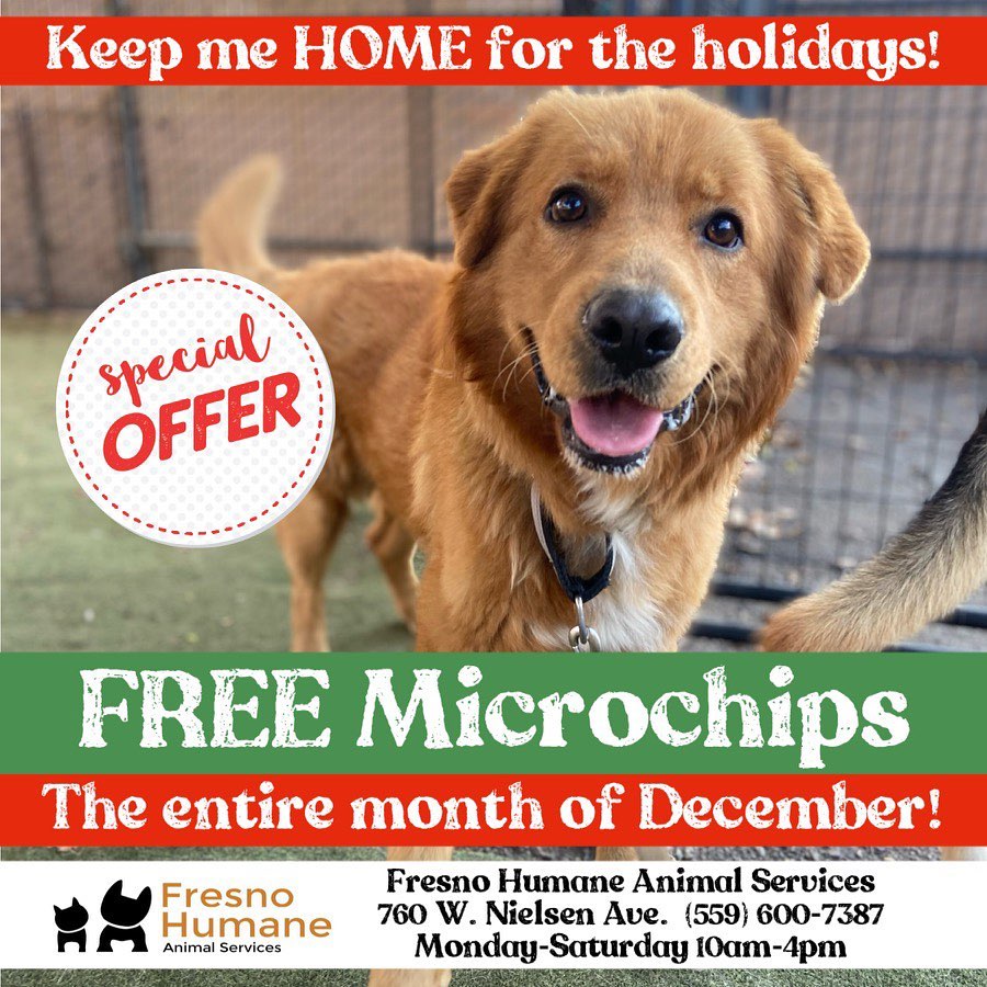 Hey, Fresno!  We’ve got a gift for pet owners in December — FREE microchips!  Stop by the Fresno County animal shelter at 760 W. Nielsen anytime Monday-Saturday between 10:00am-3:00pm with your dogs or cats.  No appointment necessary.  Spread the word and see you soon! 
Please note: Owners must be present to register the chips; no litters of pups or fosters. <a target='_blank' href='https://www.instagram.com/explore/tags/microchipssavelives/'>#microchipssavelives</a> <a target='_blank' href='https://www.instagram.com/explore/tags/microchips/'>#microchips</a> <a target='_blank' href='https://www.instagram.com/explore/tags/getpetshome/'>#getpetshome</a>