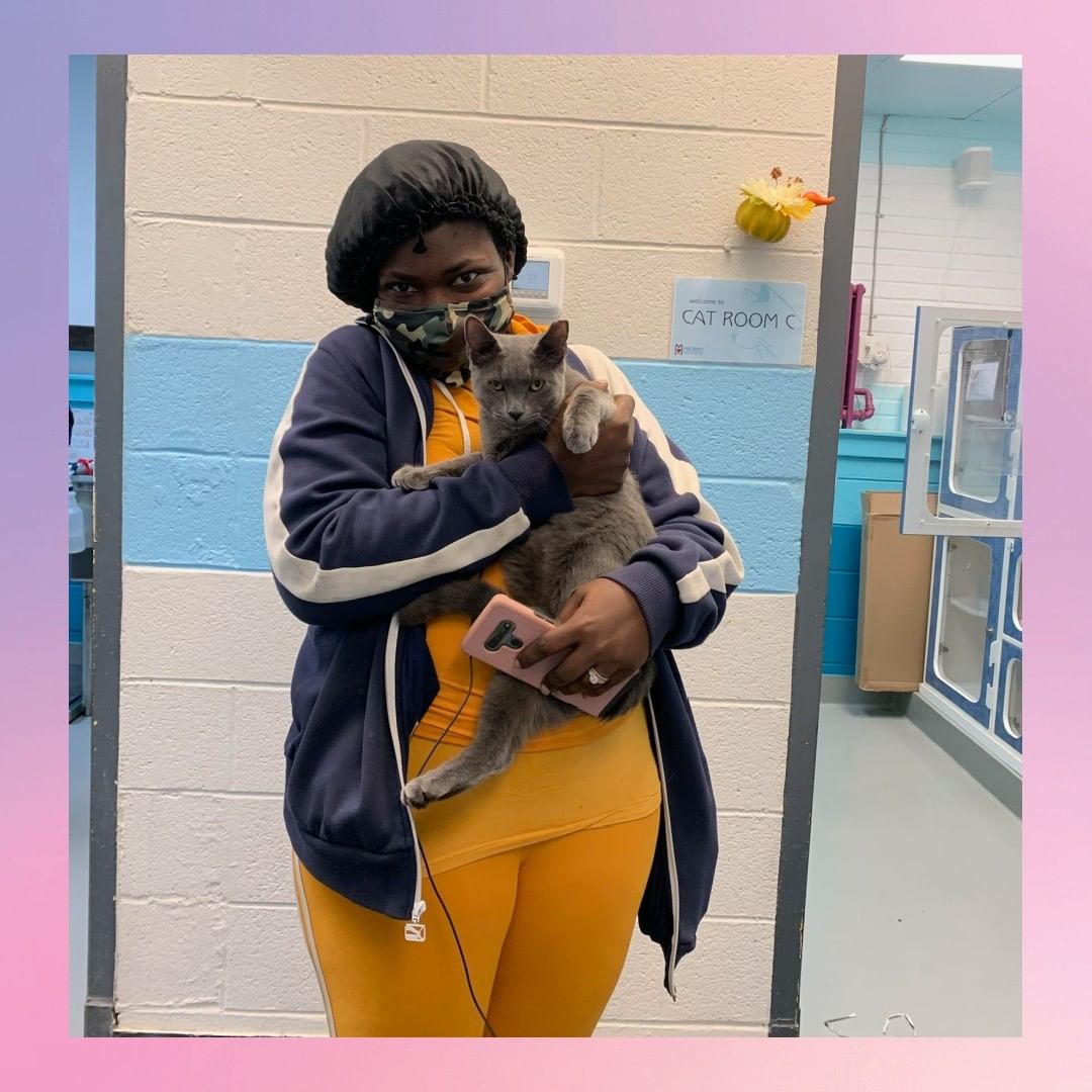 Time for our weekly <a target='_blank' href='https://www.instagram.com/explore/tags/AdoptionRoundUp/'>#AdoptionRoundUp</a>! Congratulations to Cow, Spaghettio, Sparky, Shrimp, Avocado, Ghost, Jade, Lena, Coquito, Crab, Simon, Carnita, Alvin, Chloe, Theodore, King, Yukon, Hermey, Mystic, Kim, Little Lady, Pumpkin, Philly, California, Whooper, Cucumber, Carl, Pears, and Puff!

Walk-in hours are on Wednesdays between 11am-7pm and Mondays & Saturdays from 11am-4pm.
.
.
.
<a target='_blank' href='https://www.instagram.com/explore/tags/adoptionsuccess/'>#adoptionsuccess</a> <a target='_blank' href='https://www.instagram.com/explore/tags/animalshelter/'>#animalshelter</a> <a target='_blank' href='https://www.instagram.com/explore/tags/adoptashelterpet/'>#adoptashelterpet</a> <a target='_blank' href='https://www.instagram.com/explore/tags/adoptasheltercat/'>#adoptasheltercat</a> <a target='_blank' href='https://www.instagram.com/explore/tags/adoptionroundup/'>#adoptionroundup</a> <a target='_blank' href='https://www.instagram.com/explore/tags/happytails/'>#happytails</a> <a target='_blank' href='https://www.instagram.com/explore/tags/philadelphia/'>#philadelphia</a>