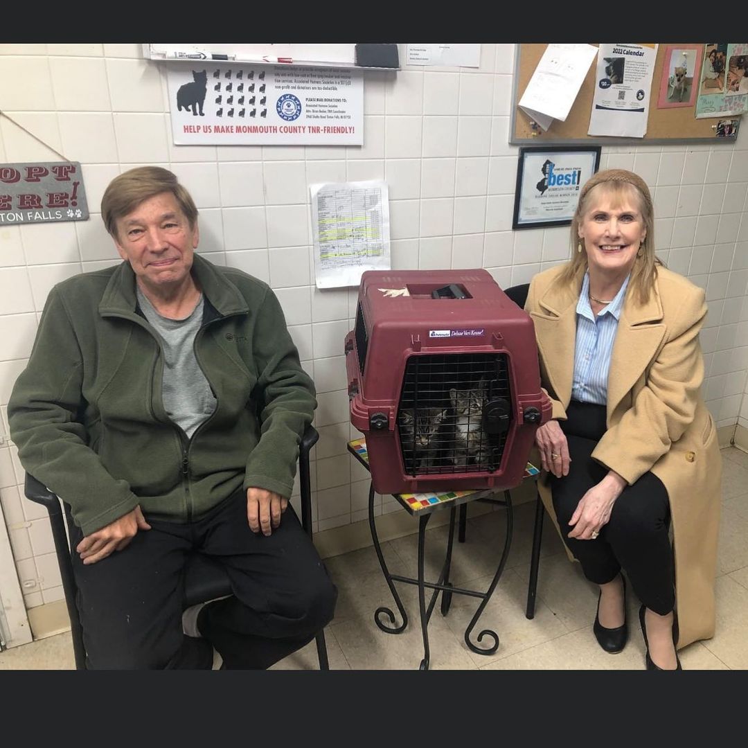And two more little kitties went home together!!!!! We love when kittens go home in pairs!!! <a target='_blank' href='https://www.instagram.com/explore/tags/adoptdontshop/'>#adoptdontshop</a> <a target='_blank' href='https://www.instagram.com/explore/tags/sheltercats/'>#sheltercats</a> <a target='_blank' href='https://www.instagram.com/explore/tags/humanesociety/'>#humanesociety</a>