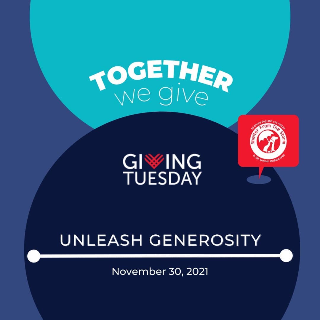 Join us in celebrating and embracing <a target='_blank' href='https://www.instagram.com/explore/tags/GivingTuesday2021/'>#GivingTuesday2021</a>- a day to inspire, unite, and give back to causes that we care about.

<a target='_blank' href='https://www.instagram.com/explore/tags/givingtuesday2021/'>#givingtuesday2021</a> <a target='_blank' href='https://www.instagram.com/explore/tags/giveback/'>#giveback</a> <a target='_blank' href='https://www.instagram.com/explore/tags/togetherwegive/'>#togetherwegive</a>