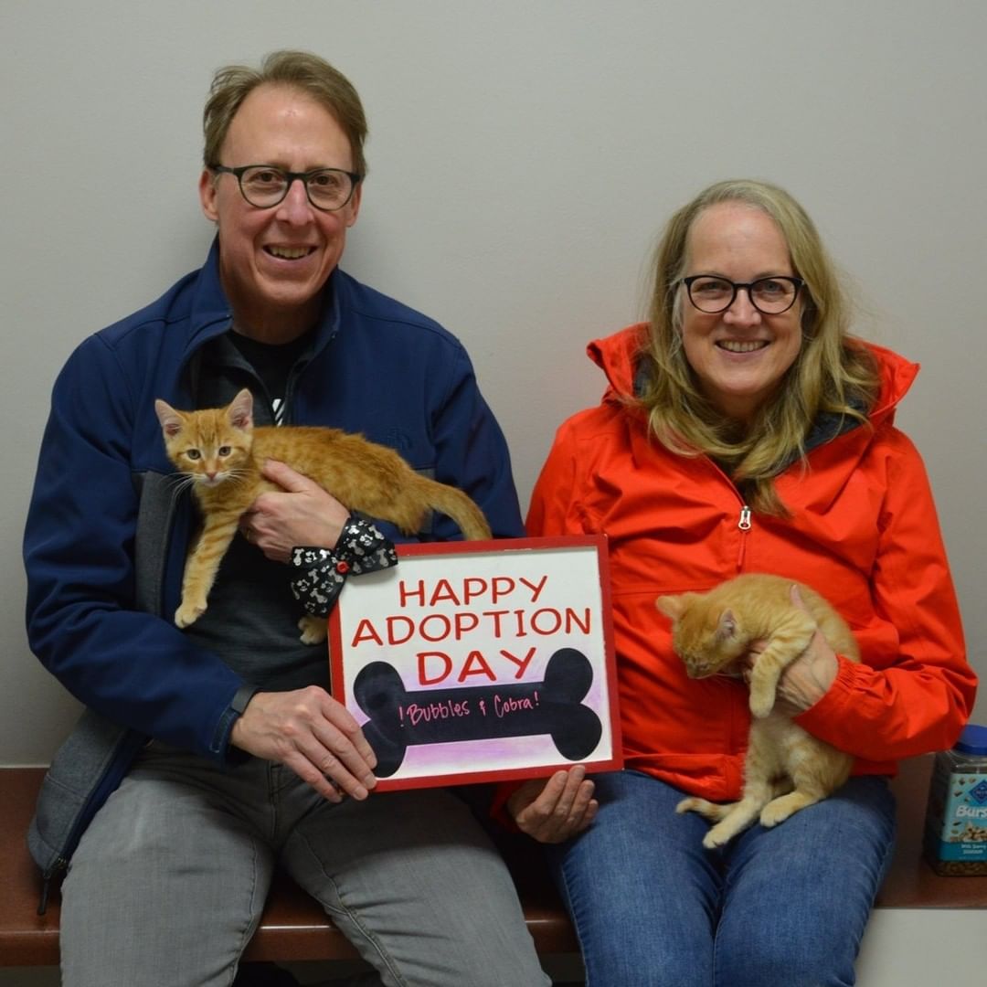 Adoption photo day is one of our favorites to share! 😍 Join us in congratulating all the happy families who adopted over the holiday weekend.