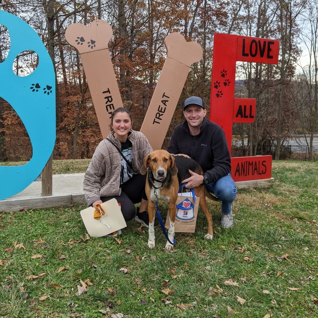 CONGRATULATIONS to the 45 pets that were adopted this week, including Kobe, Tikka Masala, Dr. Frank, and Heather, pictured below! <3

Cats: Bryn, Jasper, Pizza Mum, Lofa Boy, Winston, Cobbler, Kettle, Misha, Mama Kitty, Roxanne, Alastair, White Ferrari, Solo, Lamborghini, Ravenclaw, Slytherin, Prince Sansa, Arya, Melanie, Herman, Tatooine, Naboo, Dr. Finklestein, Question Mark, Dibella, Dr. Frank, Helsinki, Moscow, Dandelion, Ren, and Emerald

Dogs: Chinook, Young Gravy, Bruno, Flossie, Tikki Masala, Gretchen, Lamb Chop, Archer, Kobe Fka String Bean, Trixie, Brian, Alma

Ferrets: Herschel and Dumpster Dan

Thank you to @animalconnectionva  for hosting an awesome adoption event this weekend! *Bonus thank you to Lampo Neapolitan Pizzeria for donating pizza for volunteers and shelter staff!

Thank you for adopting with us! :)