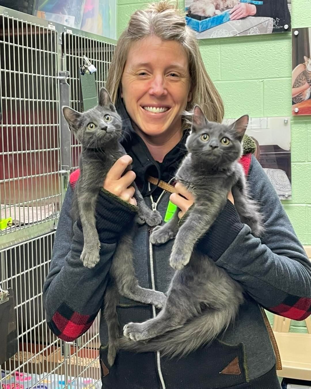 Big George and Grady came back from their foster, but were adopted right away! So far, 5 animals who went to holiday foster won’t be coming back to us! Yay!!!