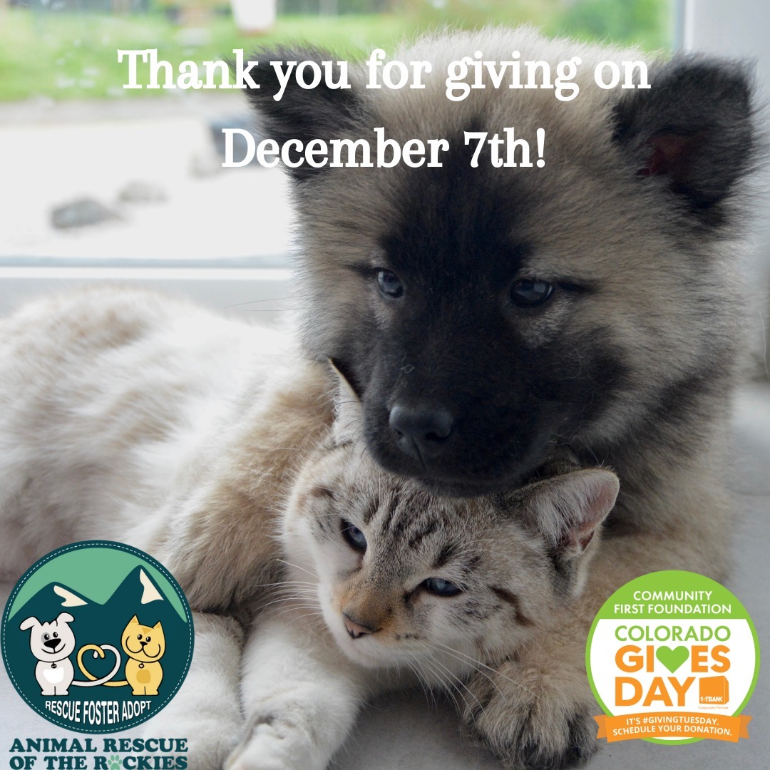 Your support on Colorado Gives Day will provide life-changing care to the at-risk cats and dogs who need us not just today, but all year through. Plus, your gift will go even further because donations will be matched up to $15,000 PLUS, for every donation scheduled, ARR will receive a portion of the $1.6 million Colorado Gives Day Incentive Fund. 

You don't need to wait until Dec. 7! You can schedule your donation here: http://ow.ly/EzFv50GZZVe (NOTE: On the Colorado Gives page, please make sure to click on the 