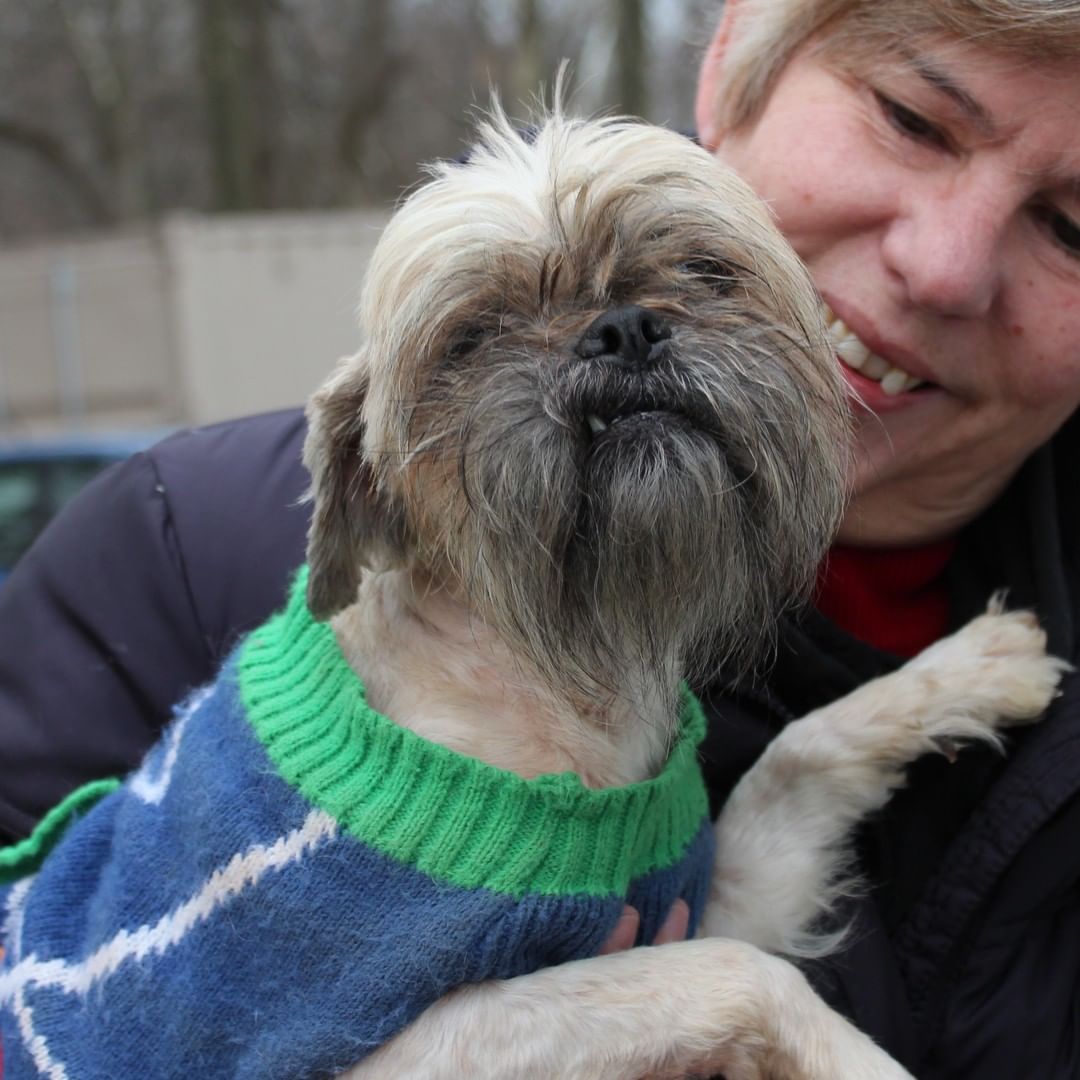 ❗️NEWS❗️ 23 dogs rescued from hoarding just arrived at our West Chester Campus. Saved by a PA shelter who asked for our help, we’ll medically evaluate each dog and groom those in poor condition. A few might be ready for adoption tomorrow, more in the coming days, and some are going to fosters. We’re accepting this large intake on top of our daily local work as one of the region’s only open access shelter; that means we take lost/stray animals from our service areas regardless of medical and behavior needs. Please support this important work with a <a target='_blank' href='https://www.instagram.com/explore/tags/GivingTuesday/'>#GivingTuesday</a> donation, with each $1 donated matched by a donor, up to $50,000: bvspca.org/givingtuesday (link in profile) <a target='_blank' href='https://www.instagram.com/explore/tags/givingtuesday2021/'>#givingtuesday2021</a> <a target='_blank' href='https://www.instagram.com/explore/tags/dachshund/'>#dachshund</a> <a target='_blank' href='https://www.instagram.com/explore/tags/shihtzu/'>#shihtzu</a> <a target='_blank' href='https://www.instagram.com/explore/tags/yorkie/'>#yorkie</a> <a target='_blank' href='https://www.instagram.com/explore/tags/bvspca/'>#bvspca</a>