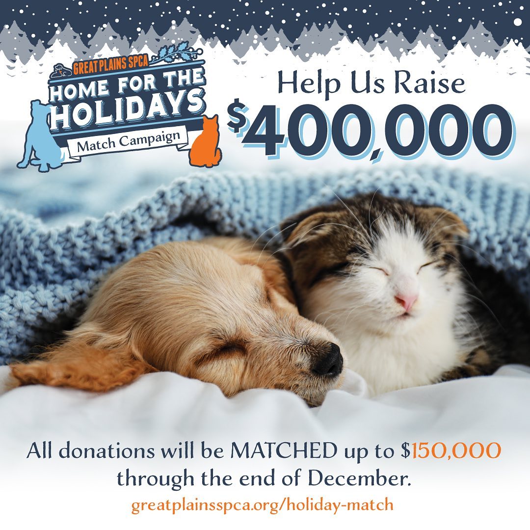 Through December 31, ALL DONATIONS will be MATCHED up to $150,000 for our Home for the Holidays match campaign! 💙❄️

Thank you for helping us kick off the giving season with a successful Giving Tuesday! Help us reach our goal of raising $400,000🐾 by donating at: {greatplainsspca.org/holiday-match} <a target='_blank' href='https://www.instagram.com/explore/tags/homefortheholidays/'>#homefortheholidays</a> <a target='_blank' href='https://www.instagram.com/explore/tags/donate/'>#donate</a> <a target='_blank' href='https://www.instagram.com/explore/tags/matchcampaign/'>#matchcampaign</a> <a target='_blank' href='https://www.instagram.com/explore/tags/greatplainsspca/'>#greatplainsspca</a>