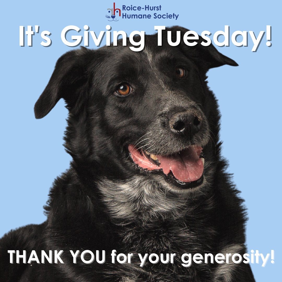 Today is <a target='_blank' href='https://www.instagram.com/explore/tags/GivingTuesday/'>#GivingTuesday</a> – the world’s biggest day of generosity! ❤️

Dogs and cats of all ages, sizes, breeds, and backgrounds find themselves in our care one way or another, but they all share one thing in common – they find the compassion they need at Roice-Hurst thanks to the unwavering generosity of animal lovers like you in our community.

We know that pets don’t walk into and out of the shelter on their own, which is why we offer services for owned pets in our community through our Animal Resource Center – like our Pet Pantry, short-term crisis boarding program, pet behavior counseling, and low-cost clinics – and we employ a full-time social worker to help pet parents navigate through hard times without having to permanently separate from their beloved pets.

When you make a gift to Roice-Hurst, not only do you help pets find loving homes – you help keep them there.

This Giving Tuesday, make a difference with a gift at the link in our bio, or swipe on this post to learn more ways to give ➡️

<a target='_blank' href='https://www.instagram.com/explore/tags/givewhereyoulive/'>#givewhereyoulive</a> <a target='_blank' href='https://www.instagram.com/explore/tags/philanthropy/'>#philanthropy</a> <a target='_blank' href='https://www.instagram.com/explore/tags/donate/'>#donate</a> <a target='_blank' href='https://www.instagram.com/explore/tags/grandjunction/'>#grandjunction</a> <a target='_blank' href='https://www.instagram.com/explore/tags/colorado/'>#colorado</a> <a target='_blank' href='https://www.instagram.com/explore/tags/mesacounty/'>#mesacounty</a> <a target='_blank' href='https://www.instagram.com/explore/tags/westerncolorado/'>#westerncolorado</a> <a target='_blank' href='https://www.instagram.com/explore/tags/animalshelter/'>#animalshelter</a> <a target='_blank' href='https://www.instagram.com/explore/tags/humanesociety/'>#humanesociety</a> <a target='_blank' href='https://www.instagram.com/explore/tags/morethanashelter/'>#morethanashelter</a>