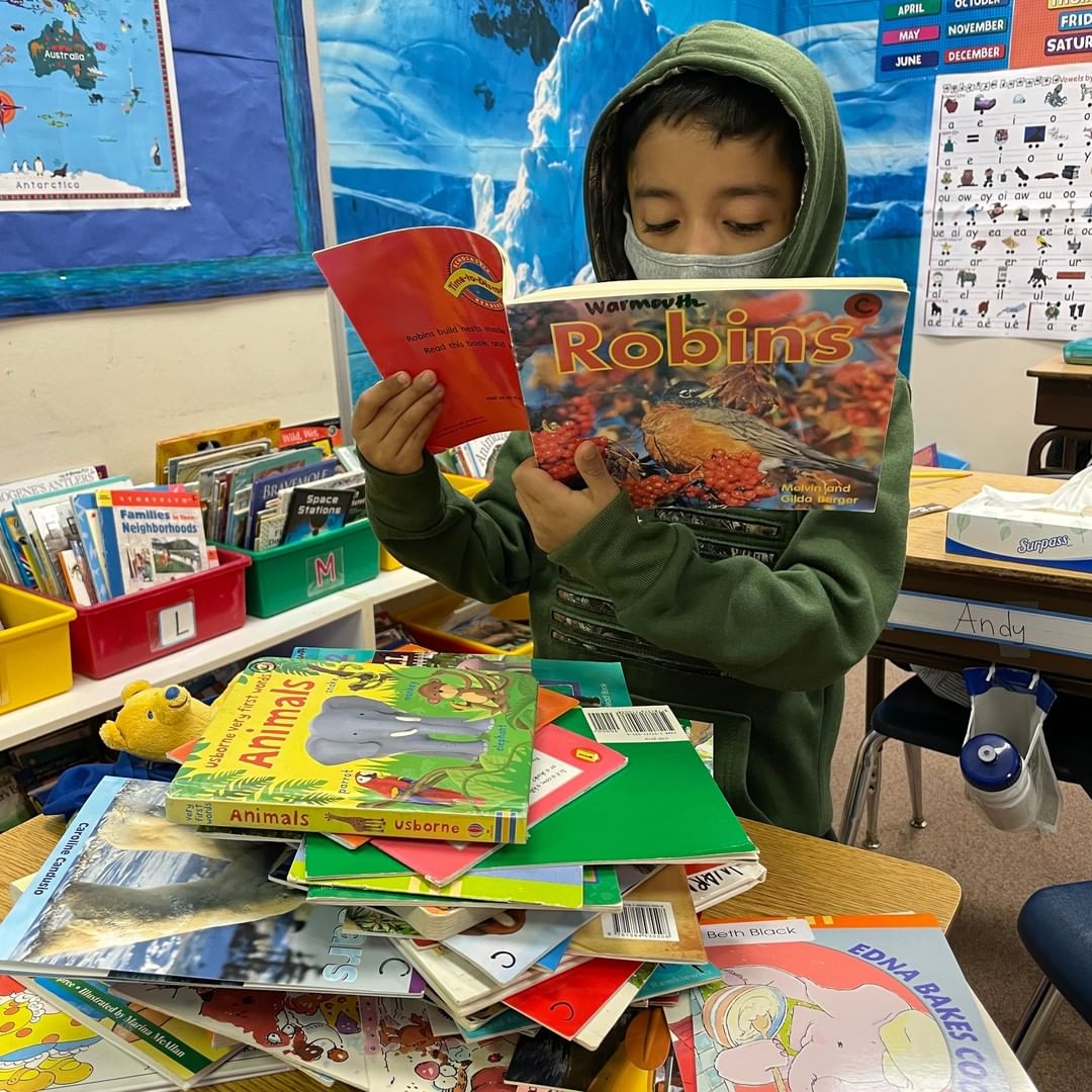 Let’s hear it for the students at Spruce Elementary! They’ve teamed up with Brown Bear Car Wash to raise money for the bears at PAWS with their “Books for Bears” read-a-thon this <a target='_blank' href='https://www.instagram.com/explore/tags/GivingTuesday/'>#GivingTuesday</a>. Each book they read unlocks $1 from Brown Bear Car Wash for the five orphaned bears currently in care at PAWS – up to $2,000! They’ve almost hit their goal and second grade teacher Dr. Jennie Warmouth says, “I wish you could feel the energy at Spruce Elementary today. Kids are buzzing with enthusiasm and pride. Teachers are reporting that otherwise reluctant readers are engaging because they want to help those bears. Check out my student who decided to read an entire TUB of books today!”

You can help these students support the animals at PAWS by giving today at paws.org/givingtuesday (link in bio).